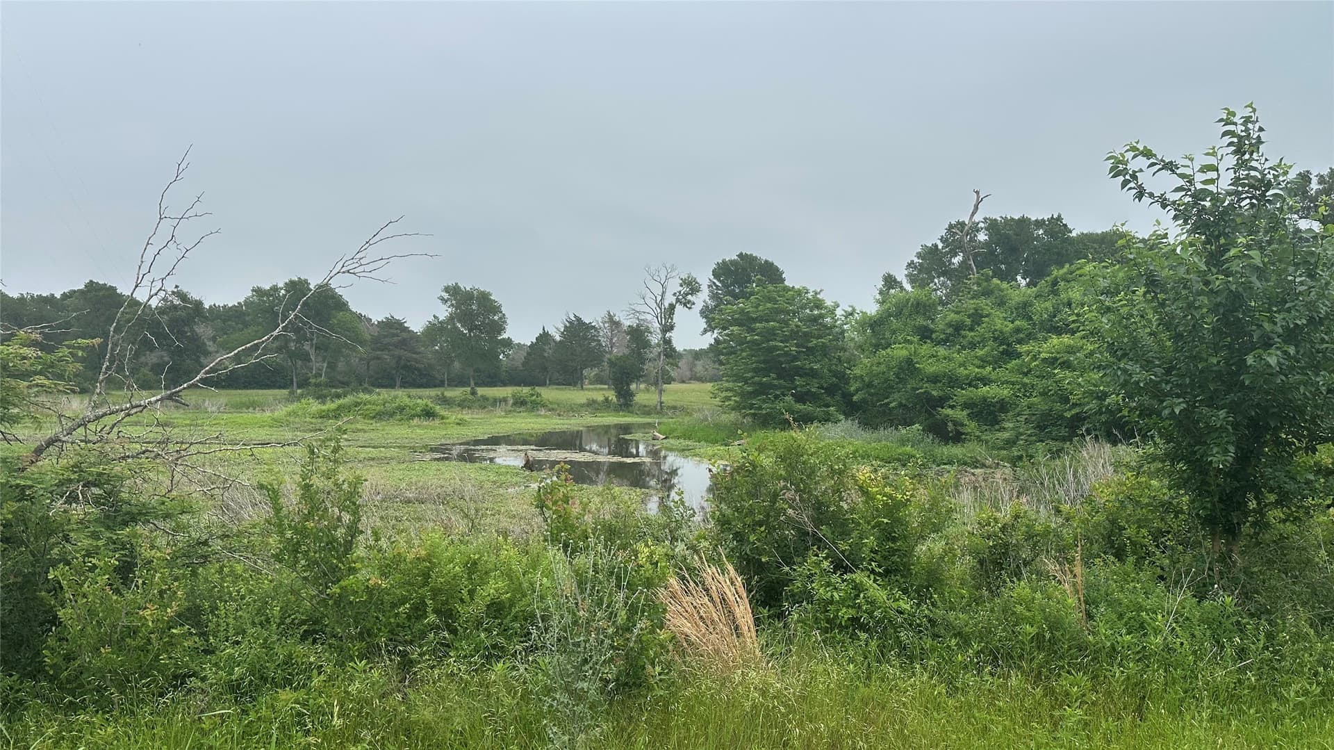 20.29 acres in Limestone County - photo 9