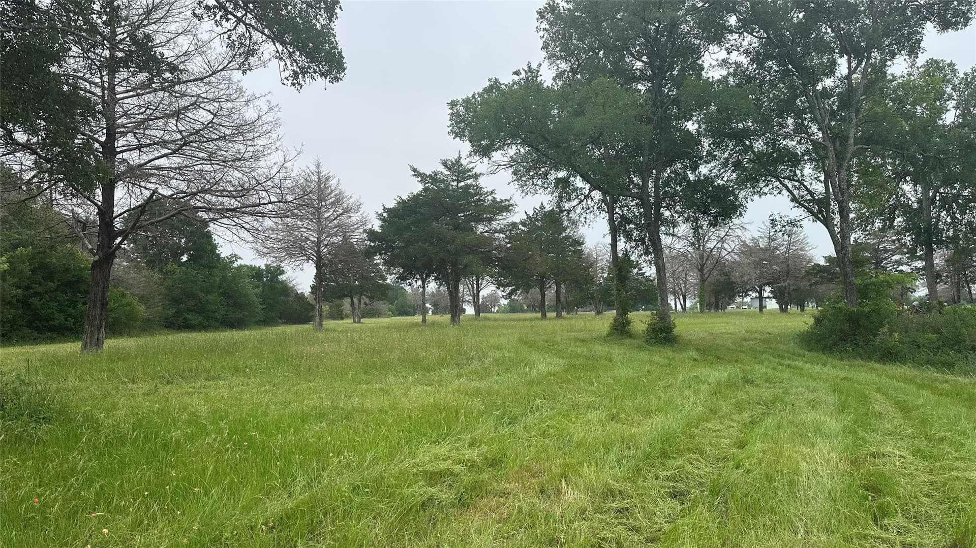 20.29 acres in Limestone County - photo 11