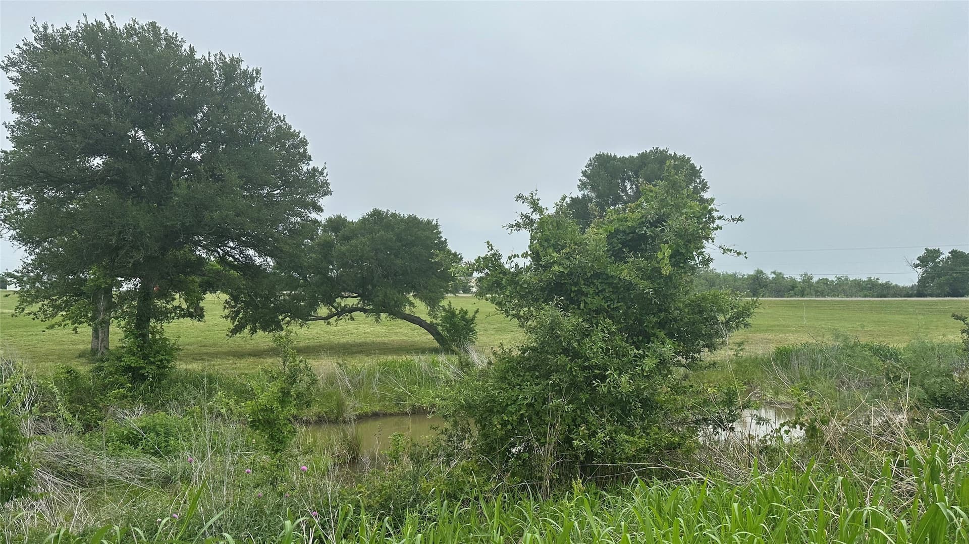 20.29 acres in Limestone County - photo 6