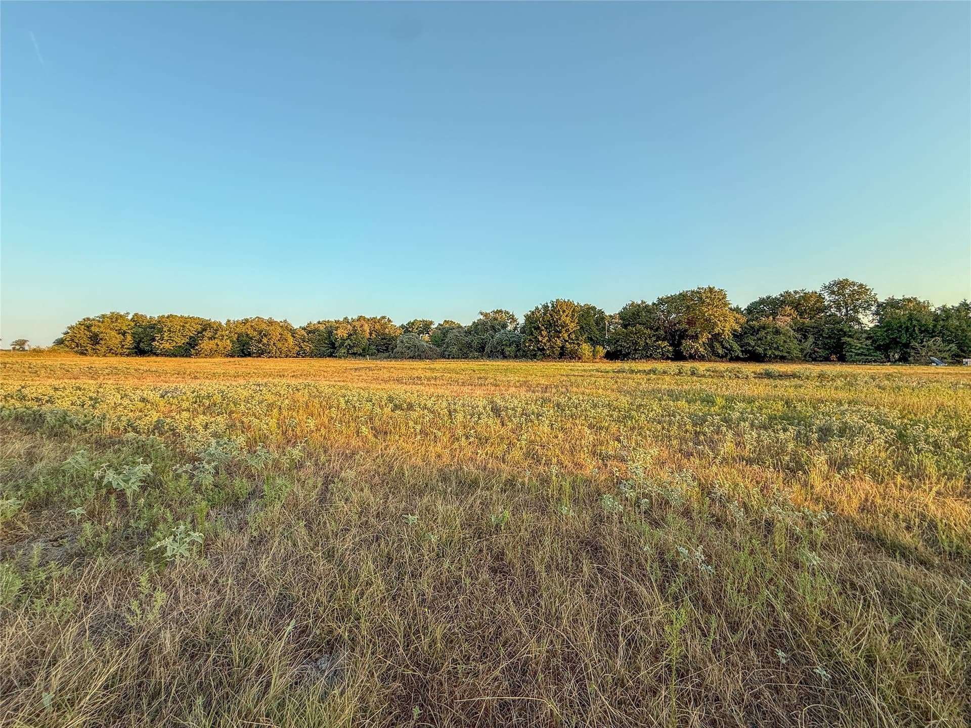16.39 acres in Wise County - photo 18