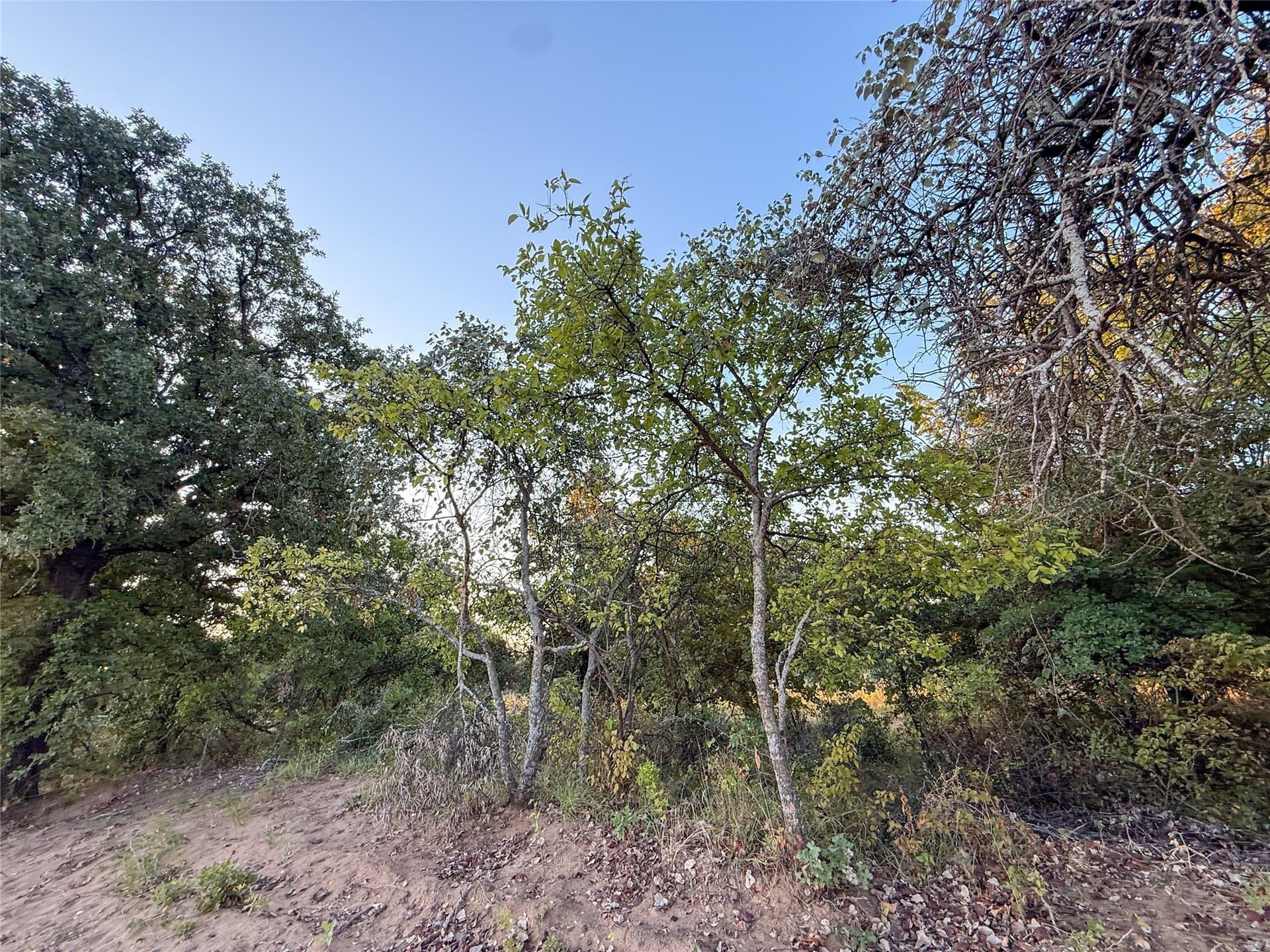 16.39 acres in Wise County - photo 14