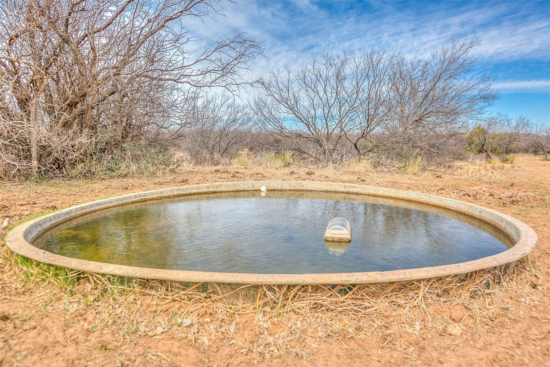 195 acres in Scurry County - photo 37