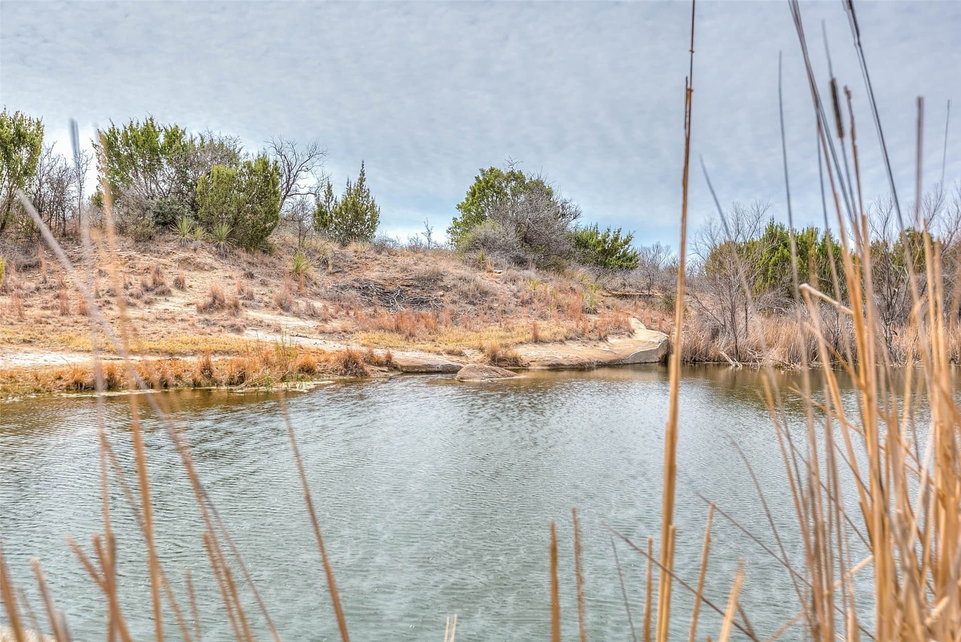 195 acres in Scurry County - photo 40