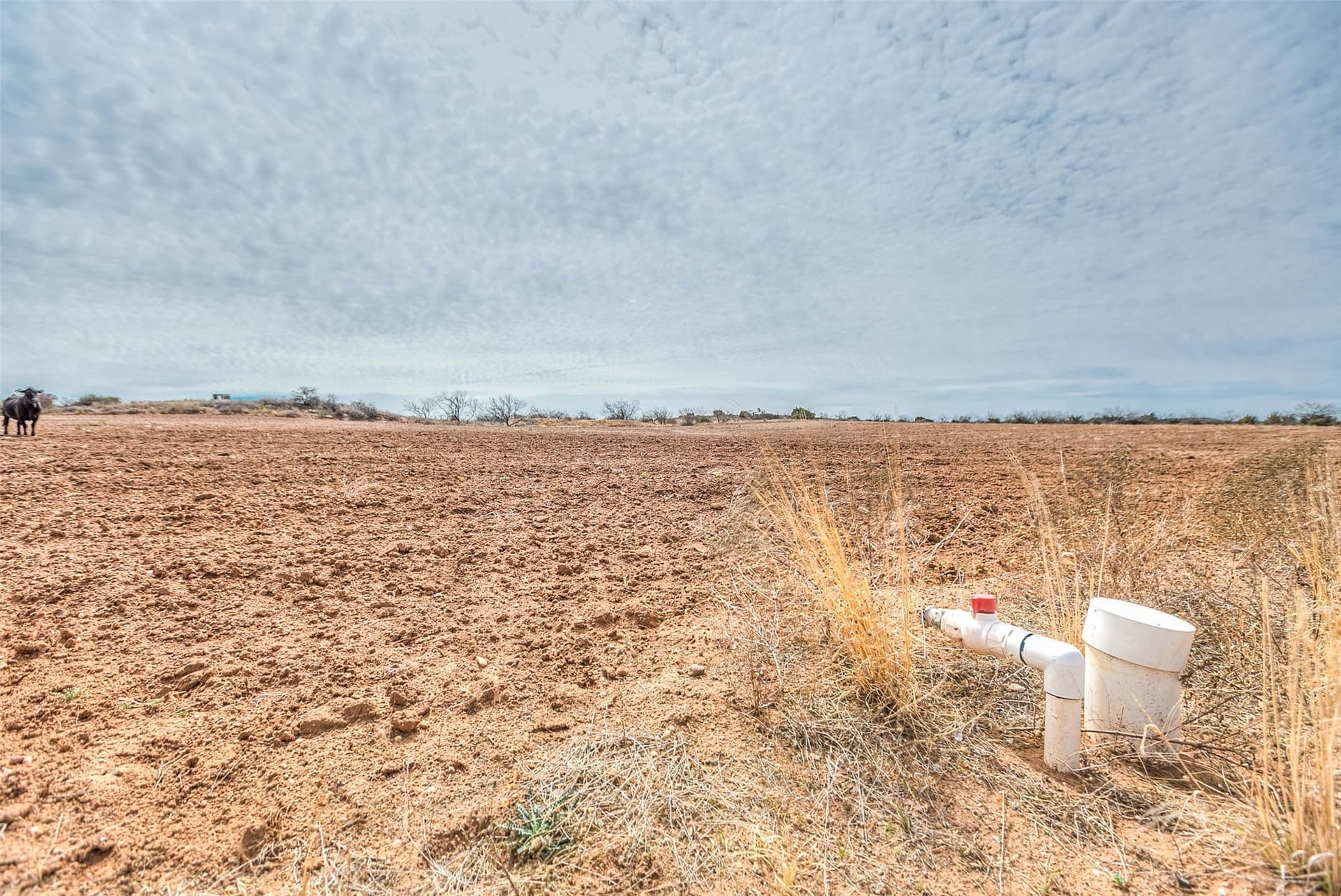 195 acres in Scurry County - photo 38