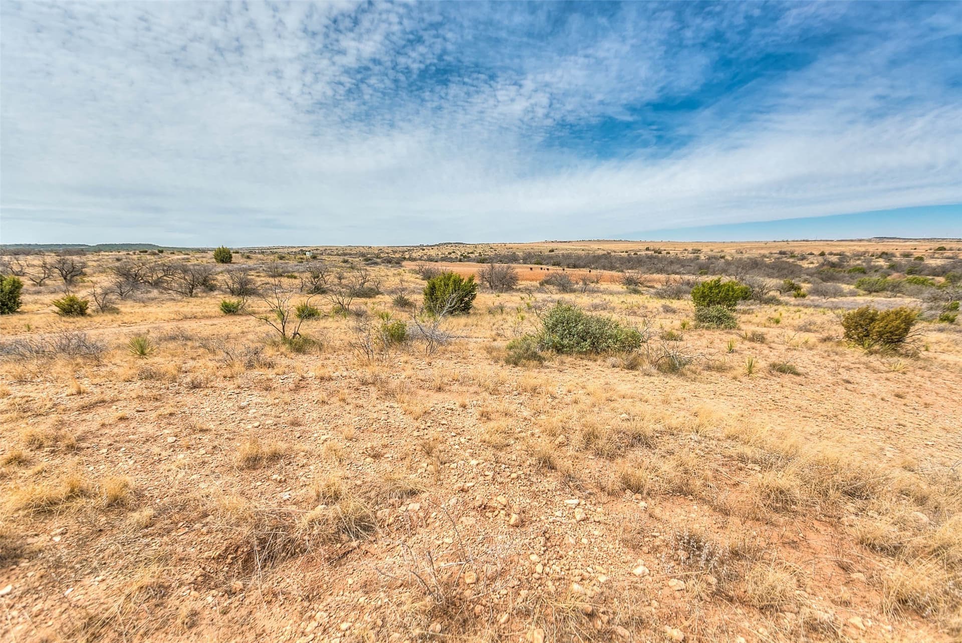 195 acres in Scurry County - photo 36