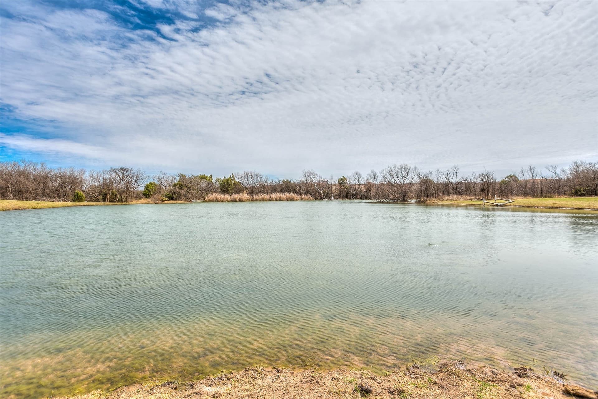 195 acres in Scurry County - photo 39
