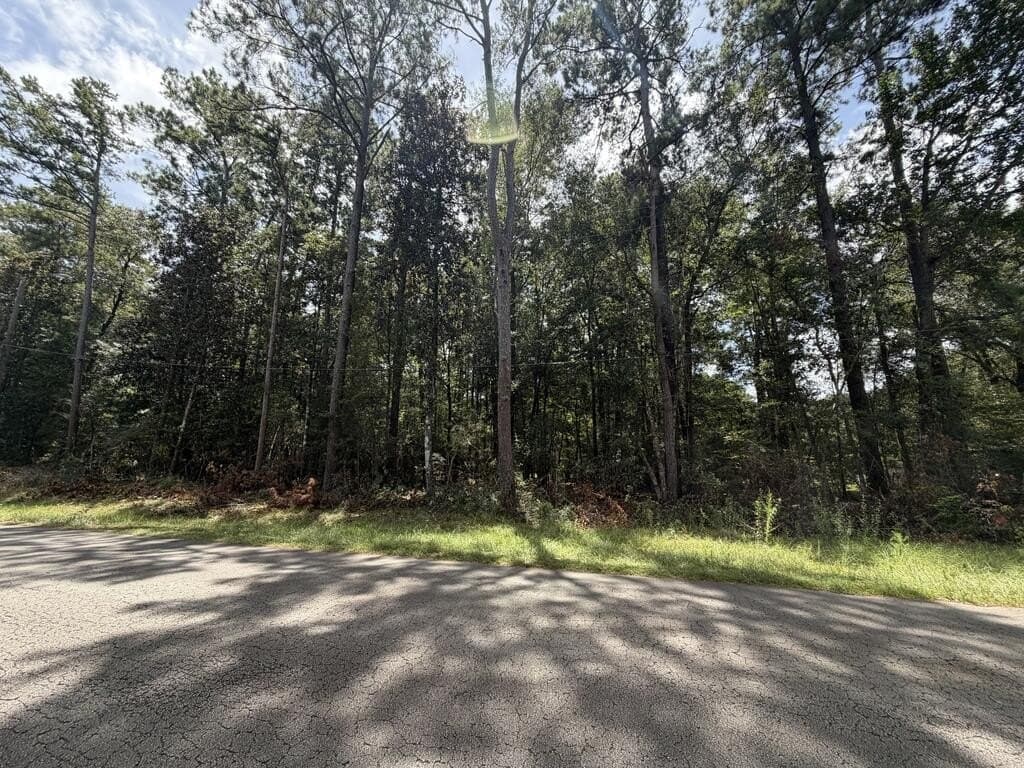 0.28 acres in Texas County - photo 2