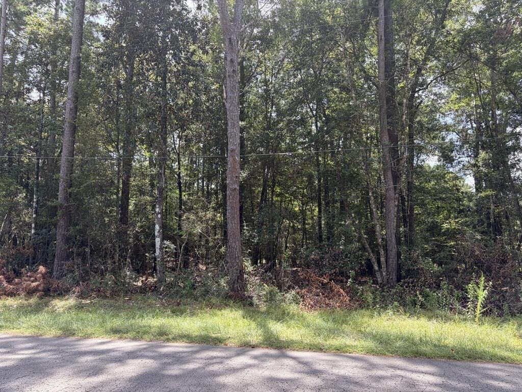 0.28 acres in Texas County - photo 3