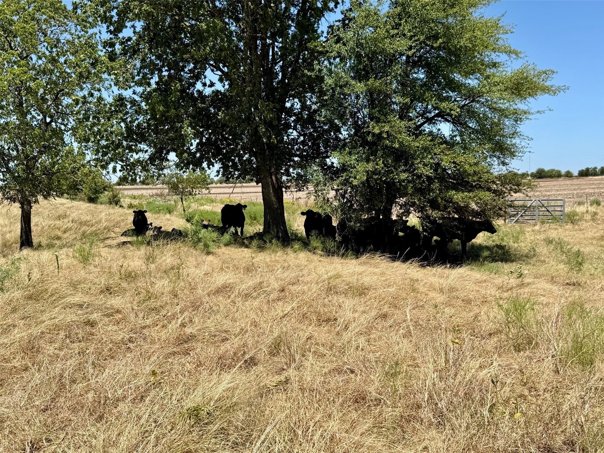201.5 acres in Hamilton County - photo 25