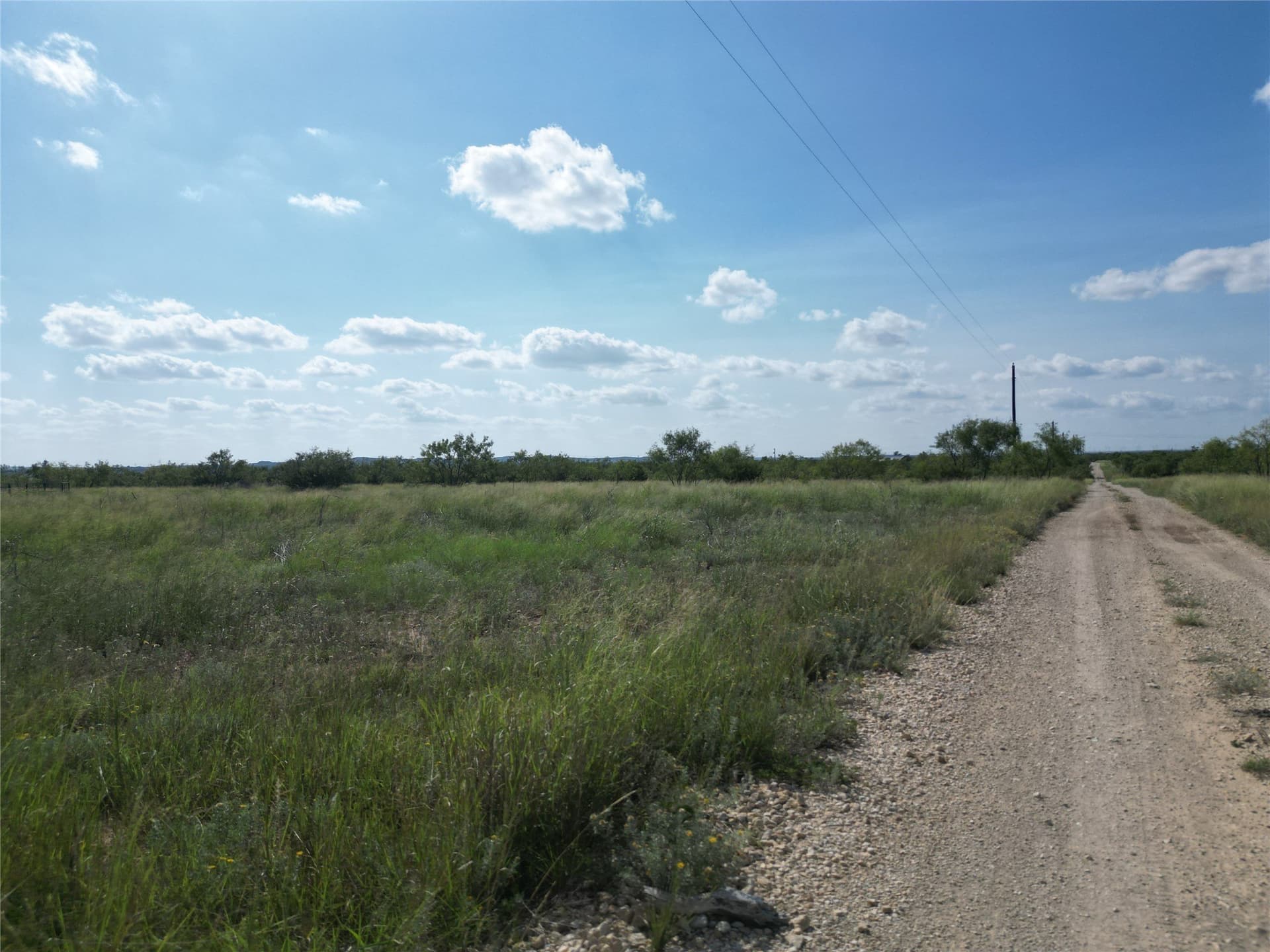 10.02 acres in Taylor County gallery image 2