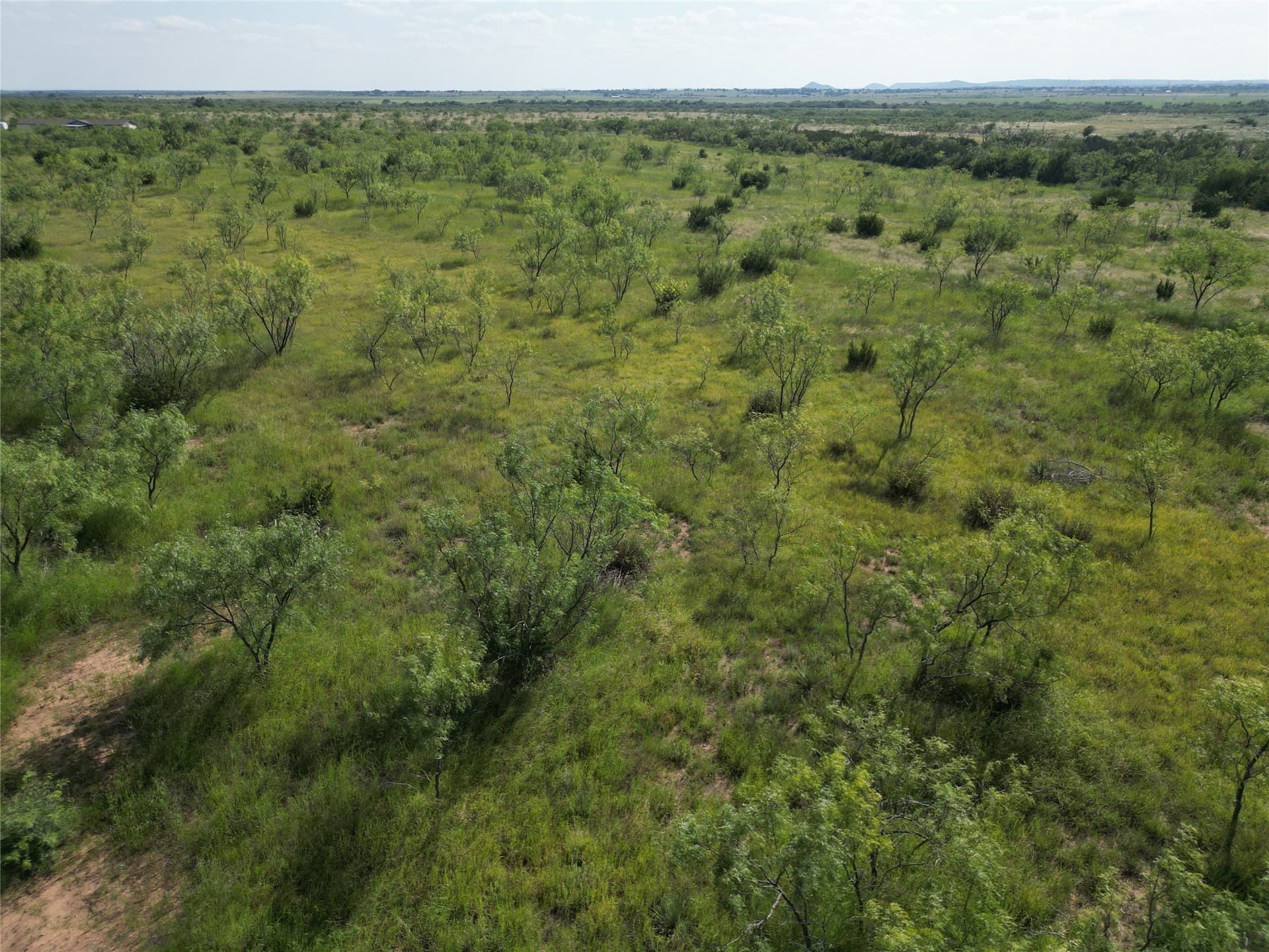 10.02 acres in Taylor County - photo 13