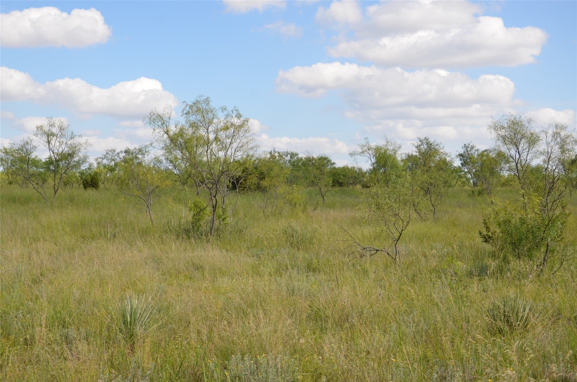 10.02 acres in Taylor County - photo 16