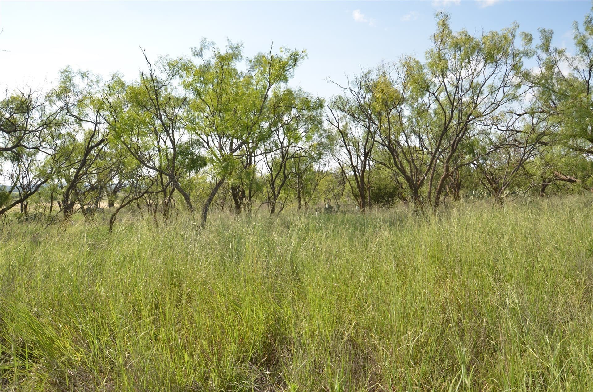 10.02 acres in Taylor County - photo 18