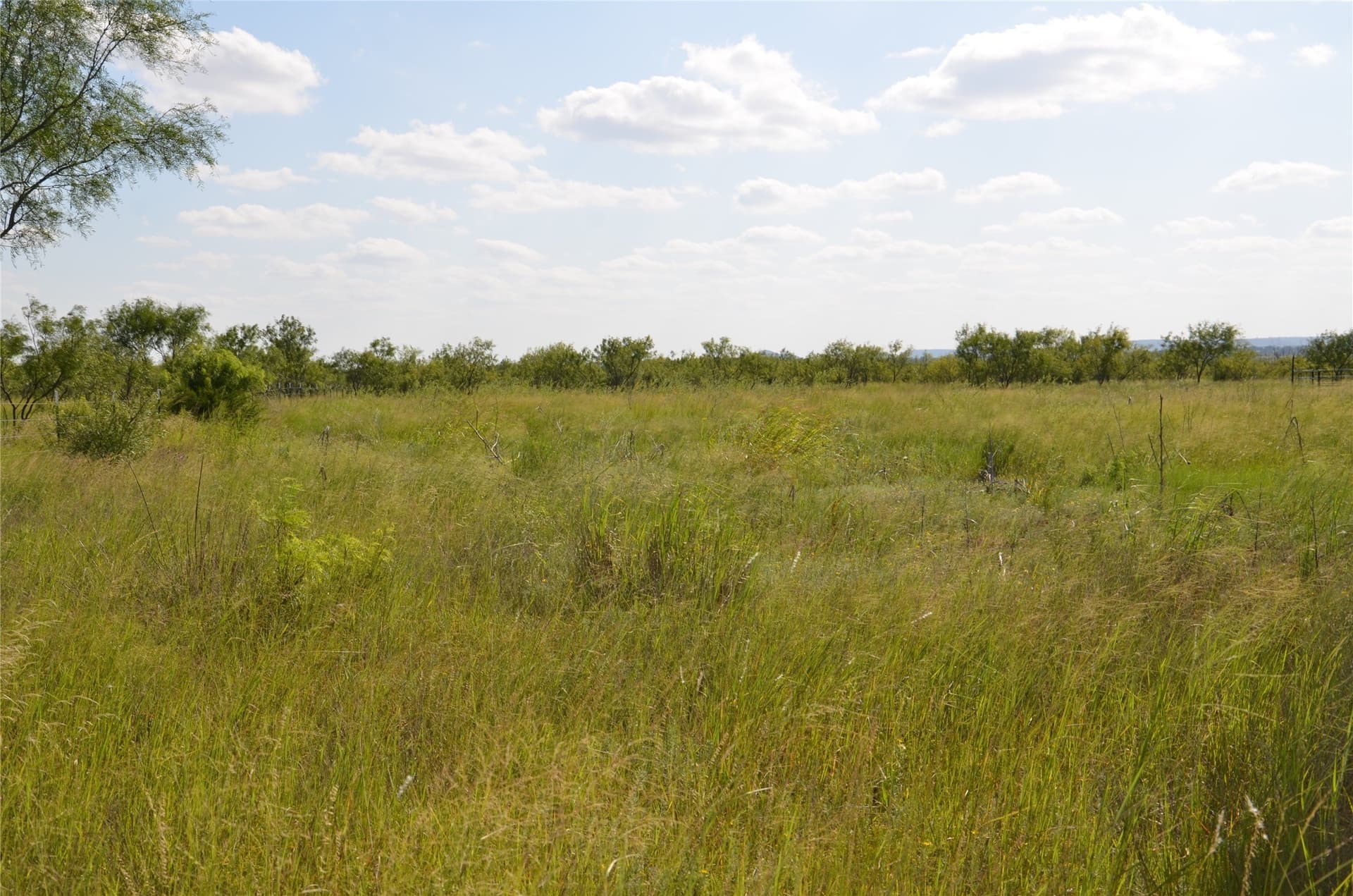 10.02 acres in Taylor County - photo 14