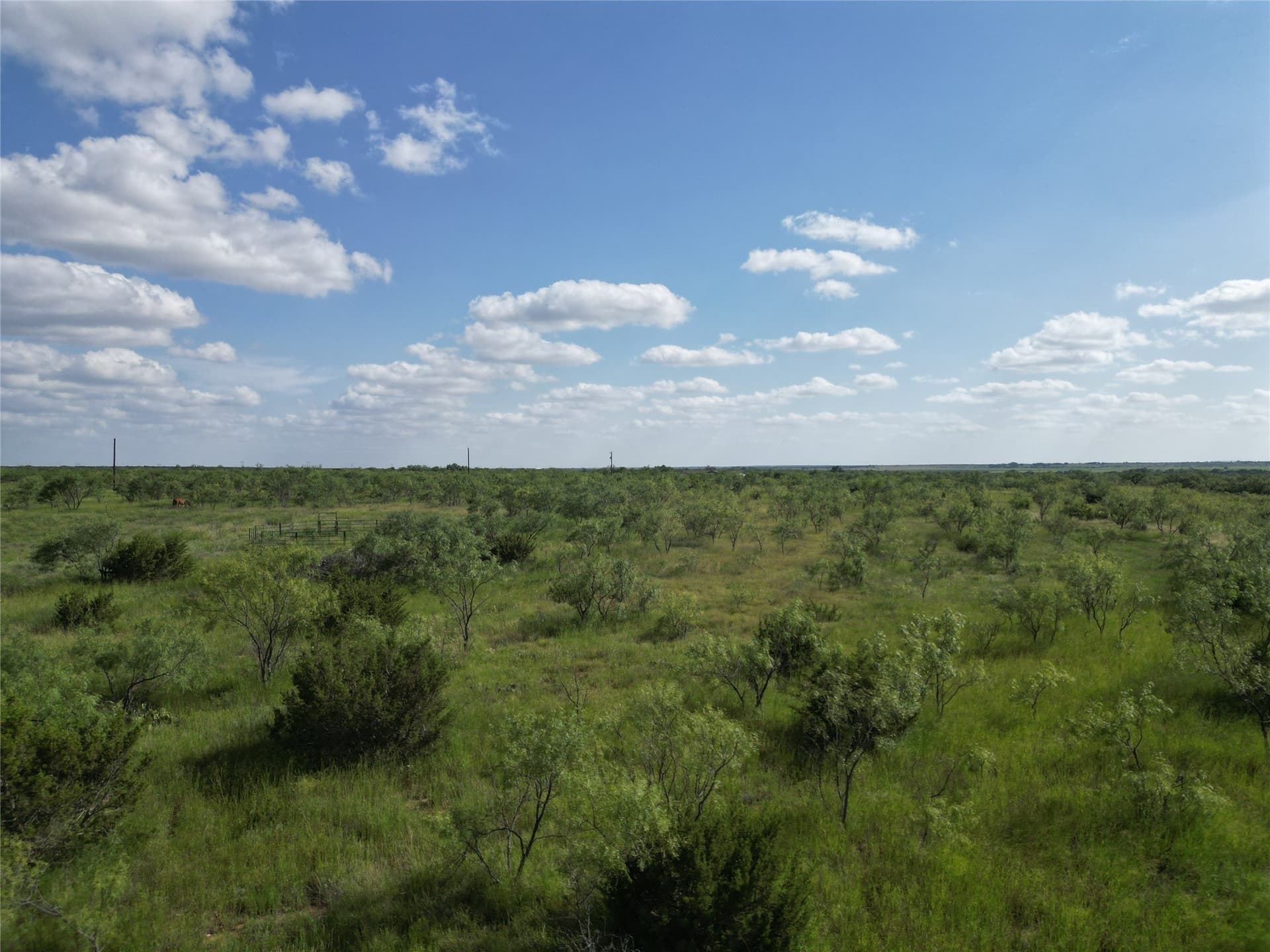 10.02 acres in Taylor County - photo 8