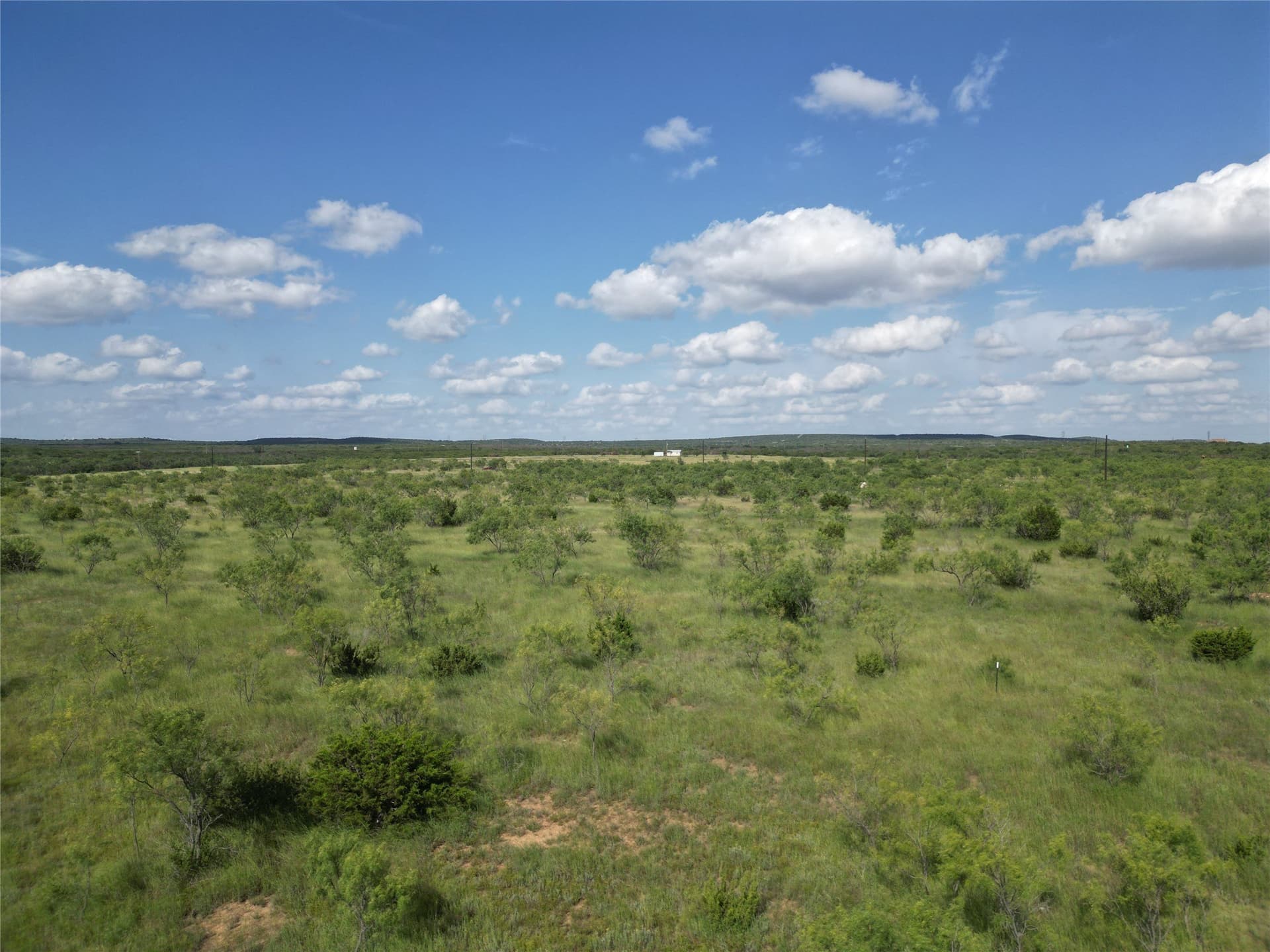 10.02 acres in Taylor County - photo 7