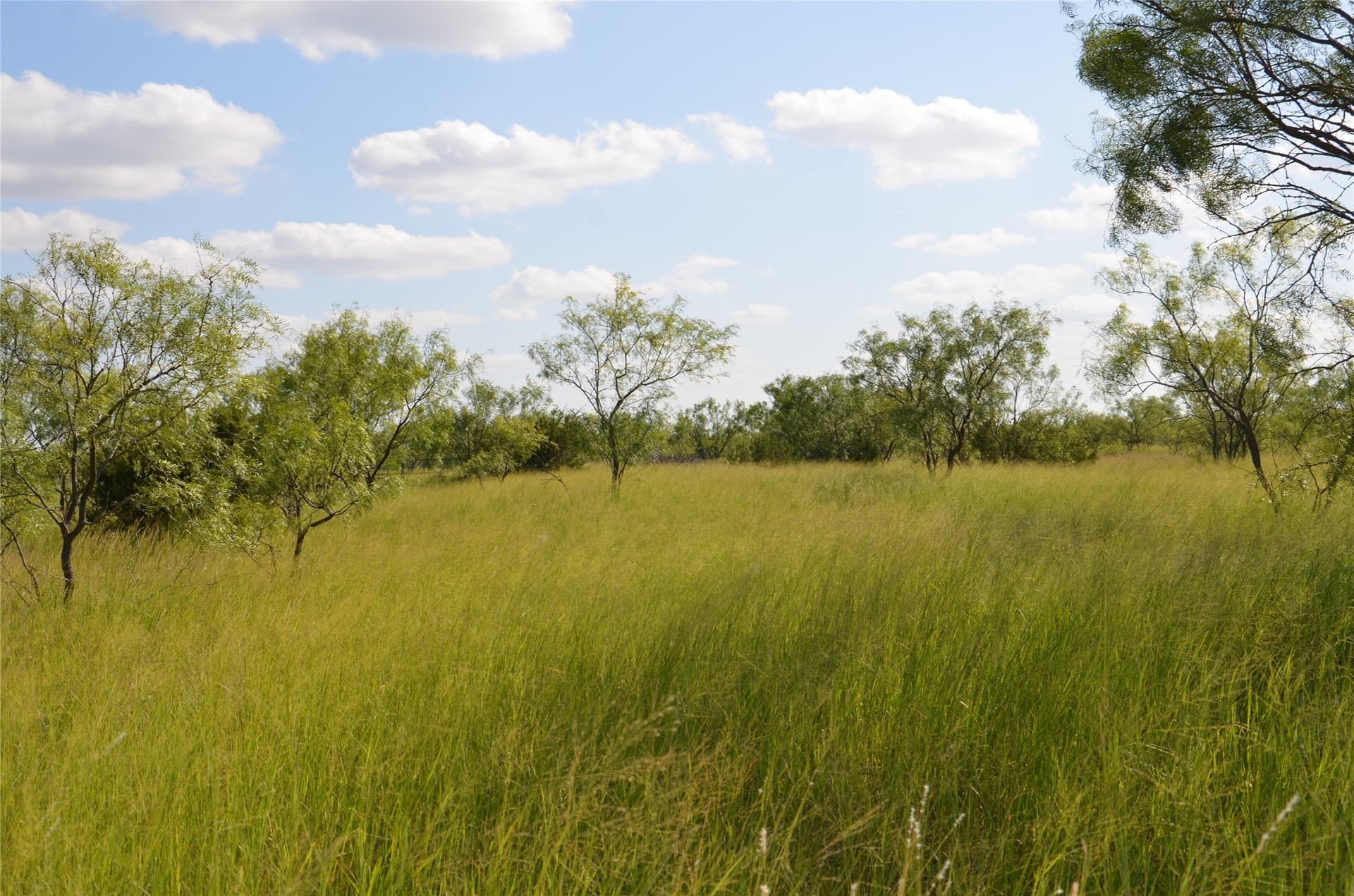 10.02 acres in Taylor County - photo 15