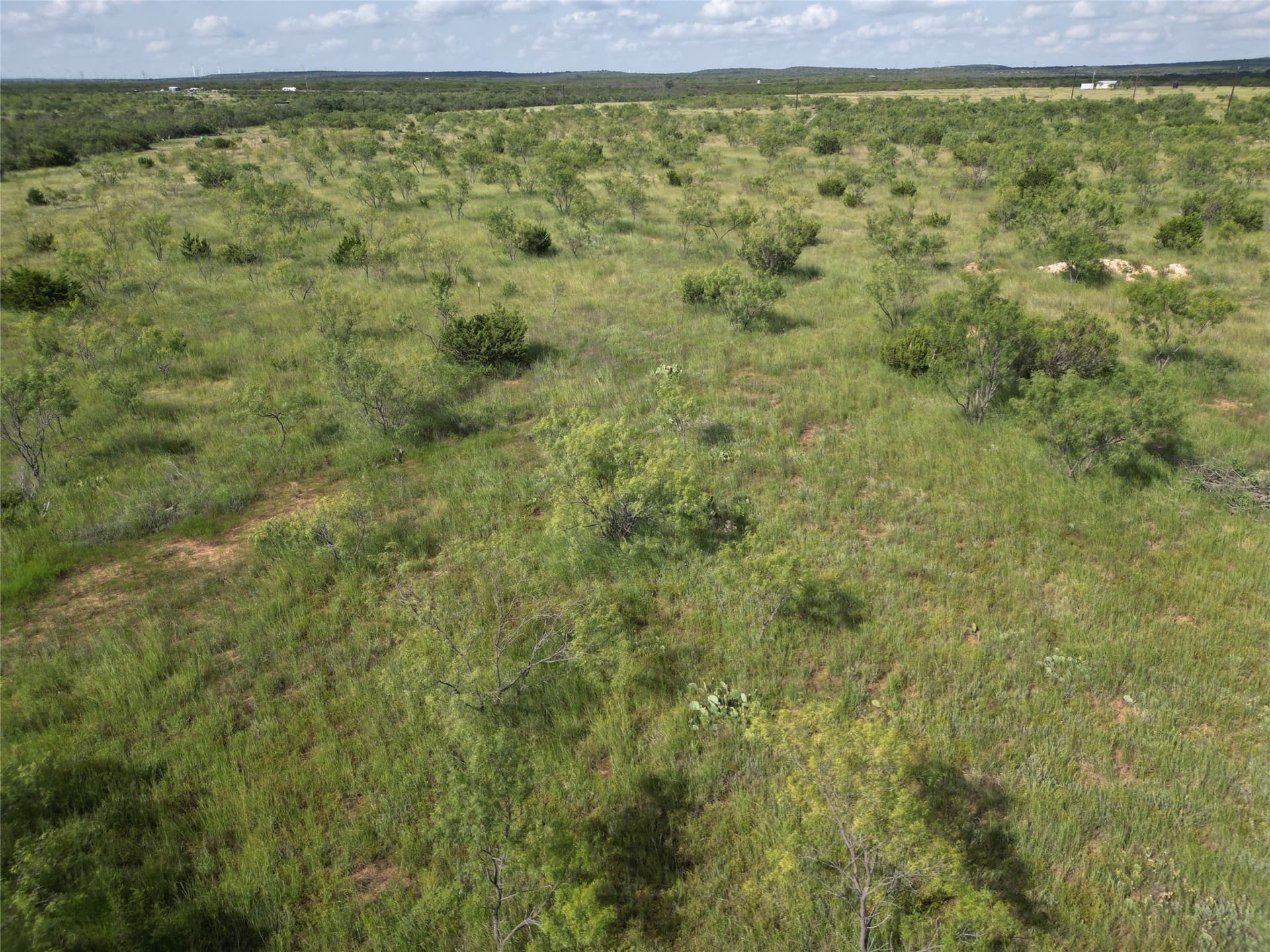 10.02 acres in Taylor County - photo 12