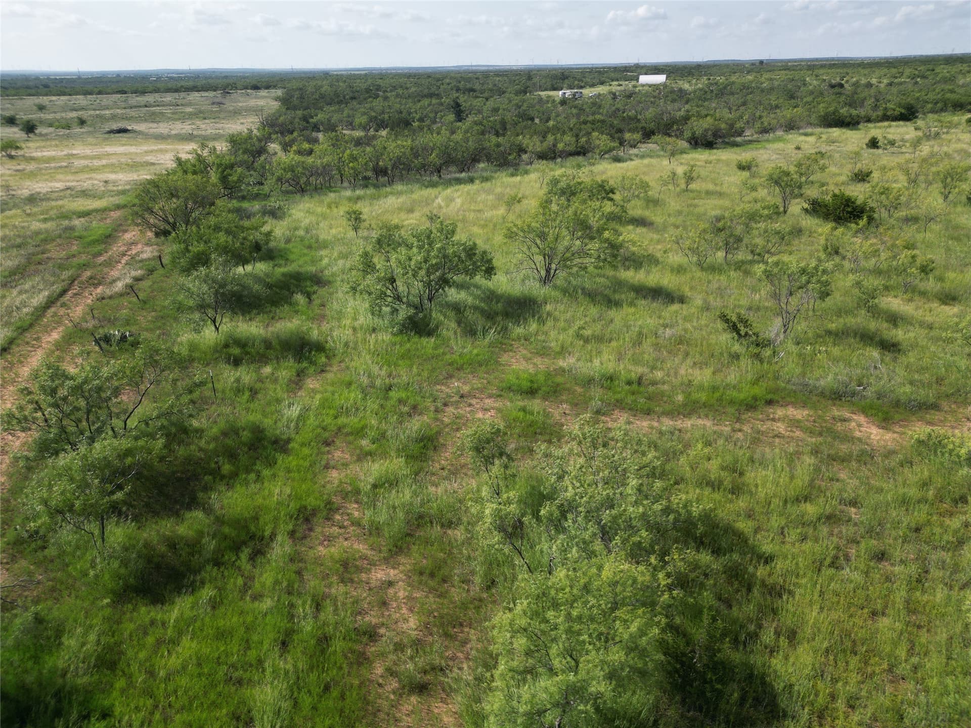 10.02 acres in Taylor County - photo 11