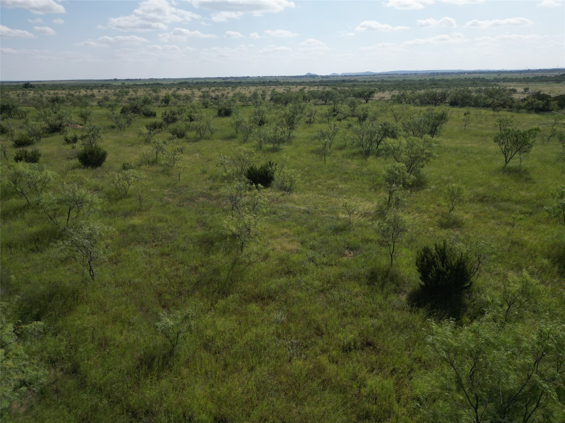 10.02 acres in Taylor County - photo 10