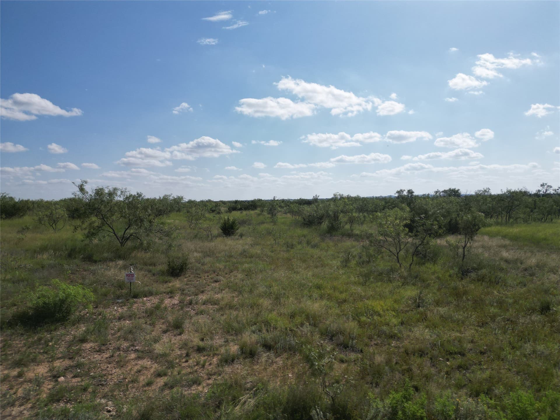 10.02 acres in Taylor County featured view