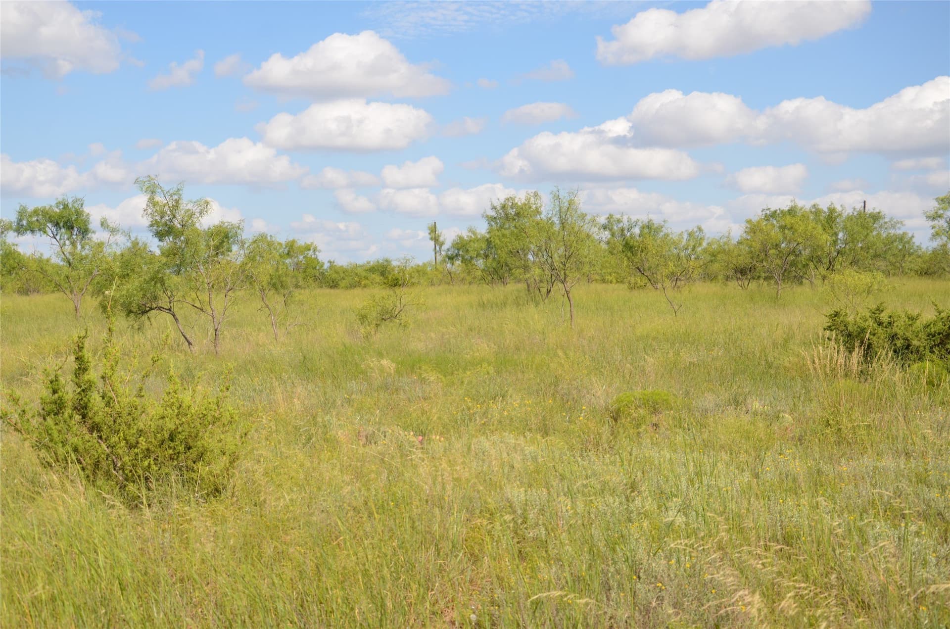 10.02 acres in Taylor County - photo 17