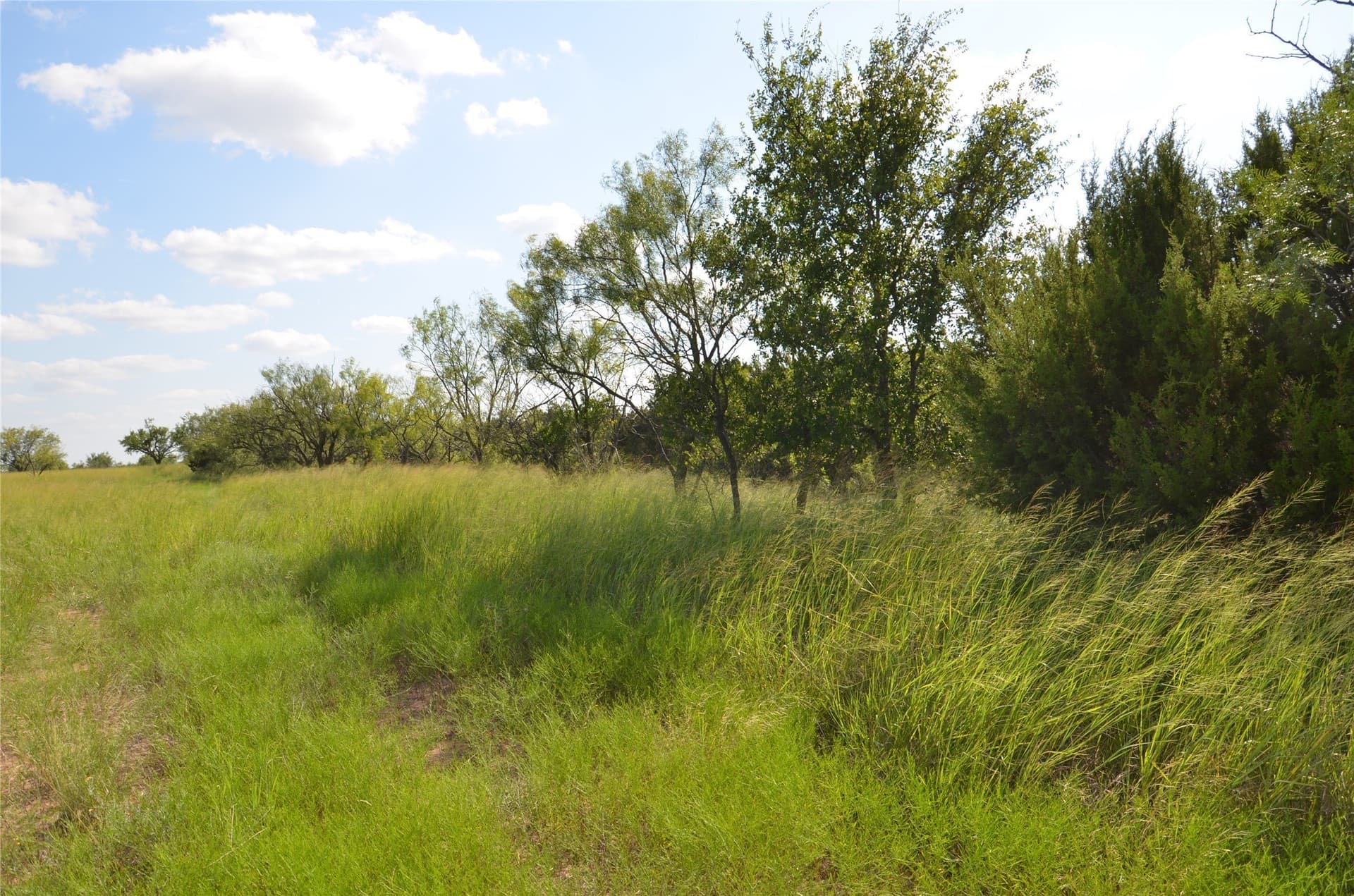 10.02 acres in Taylor County