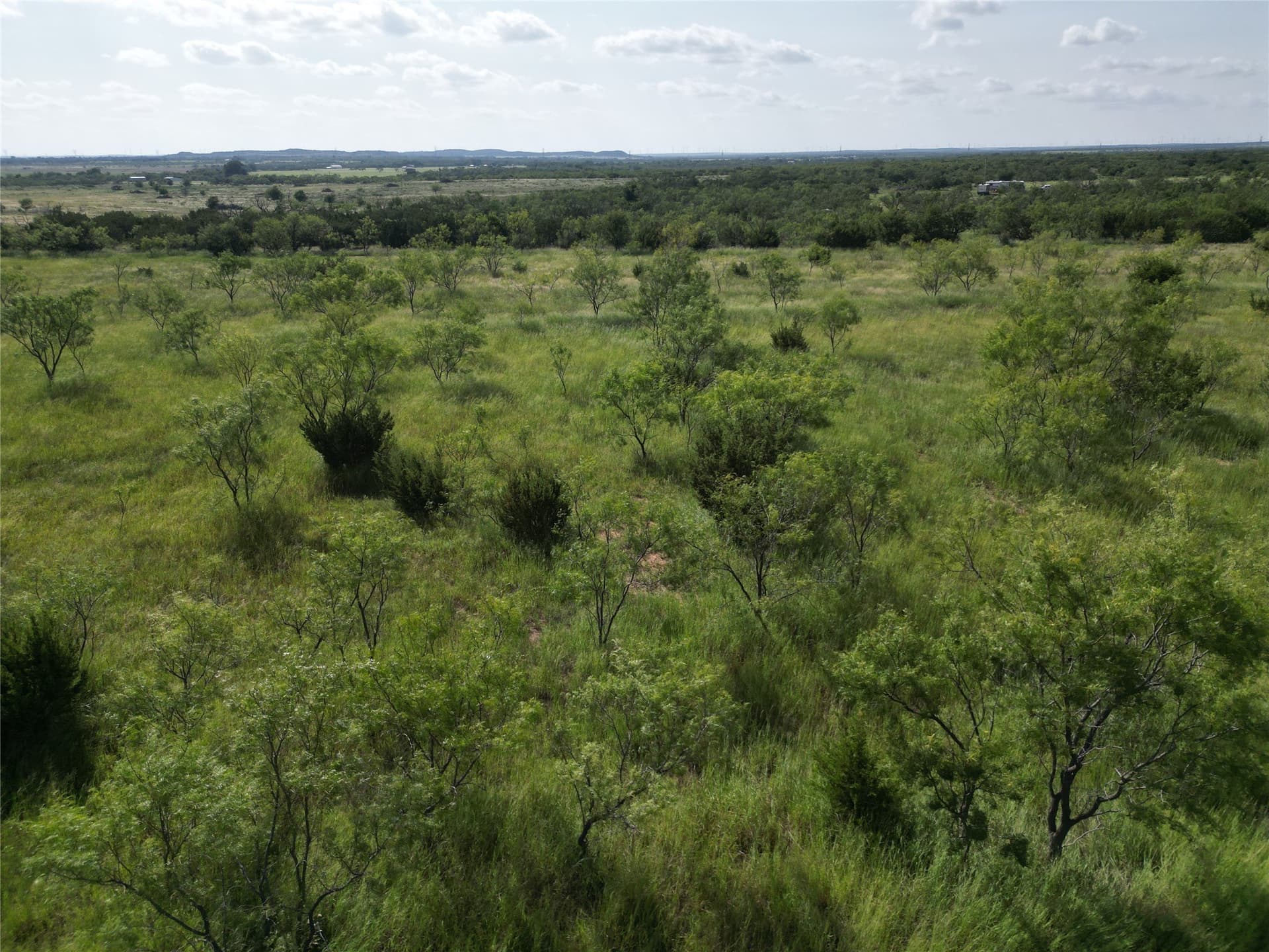 10.02 acres in Taylor County - photo 9