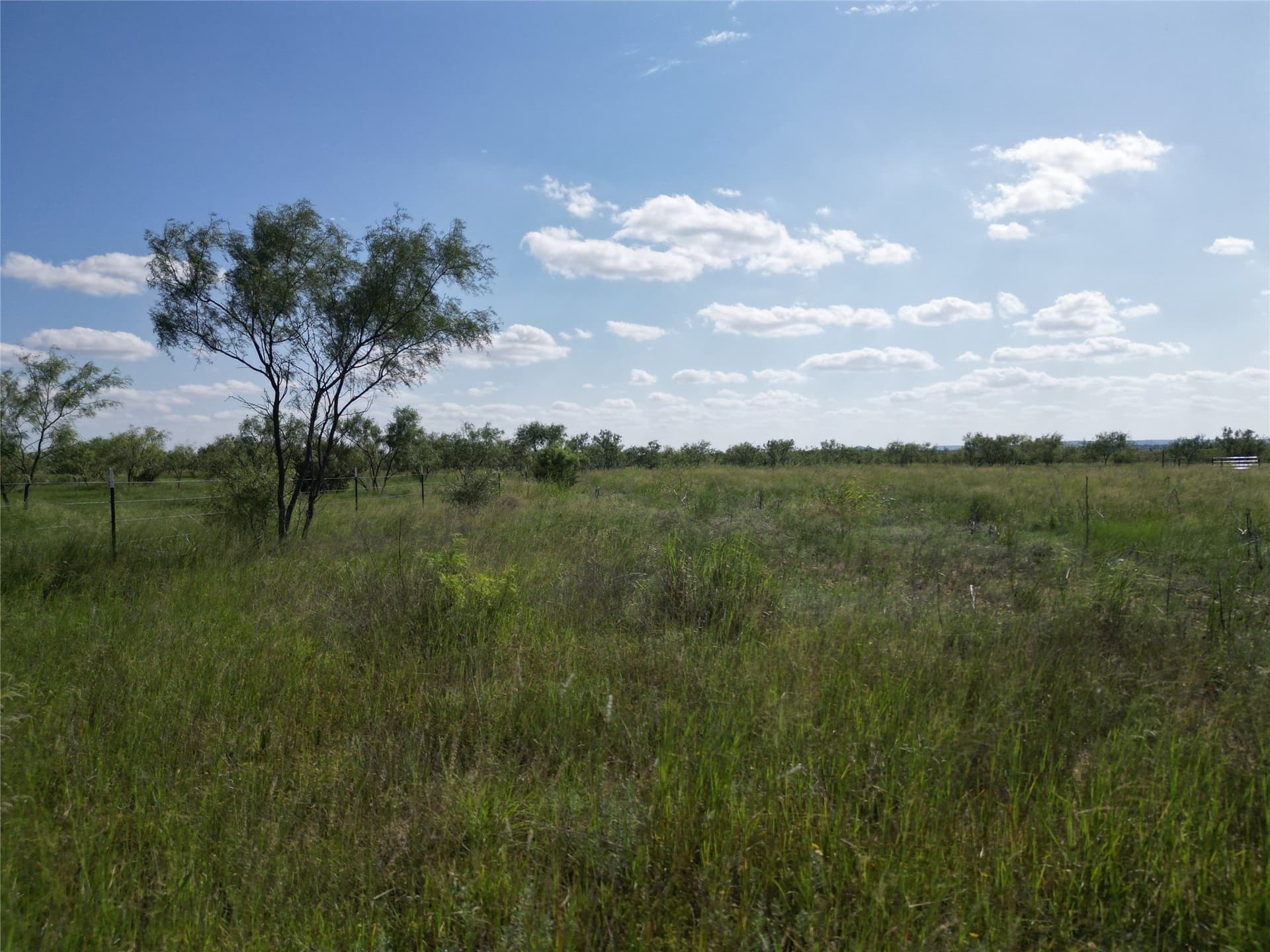10.02 acres in Taylor County gallery image 3