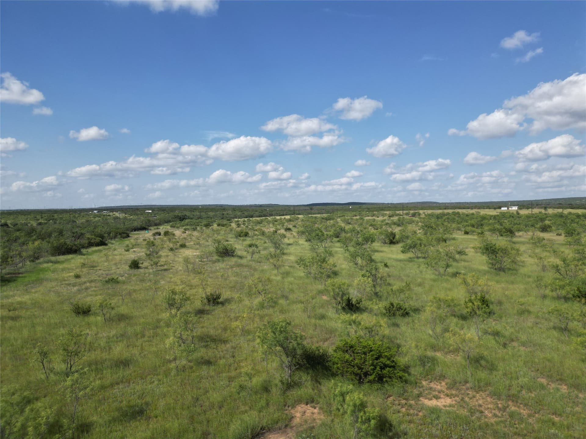 10.02 acres in Taylor County - photo 6