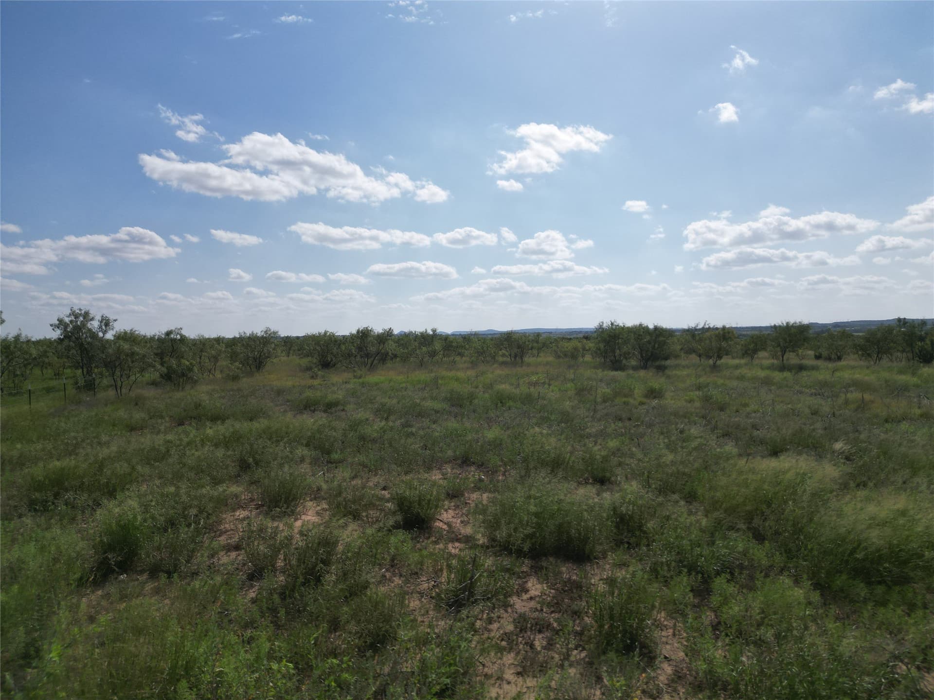 10.02 acres in Taylor County gallery image 4
