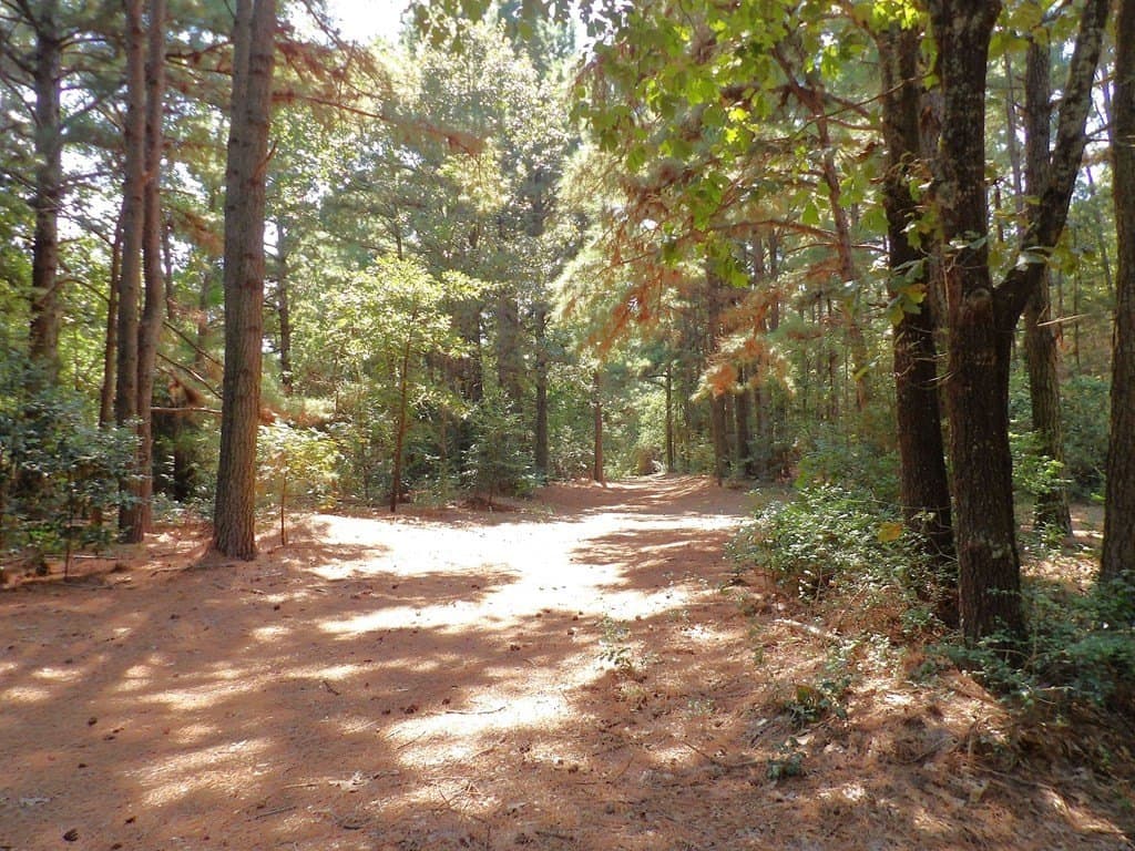 67.05 acres in Texas County - photo 45