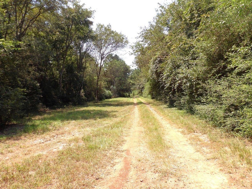 67.05 acres in Texas County - photo 37