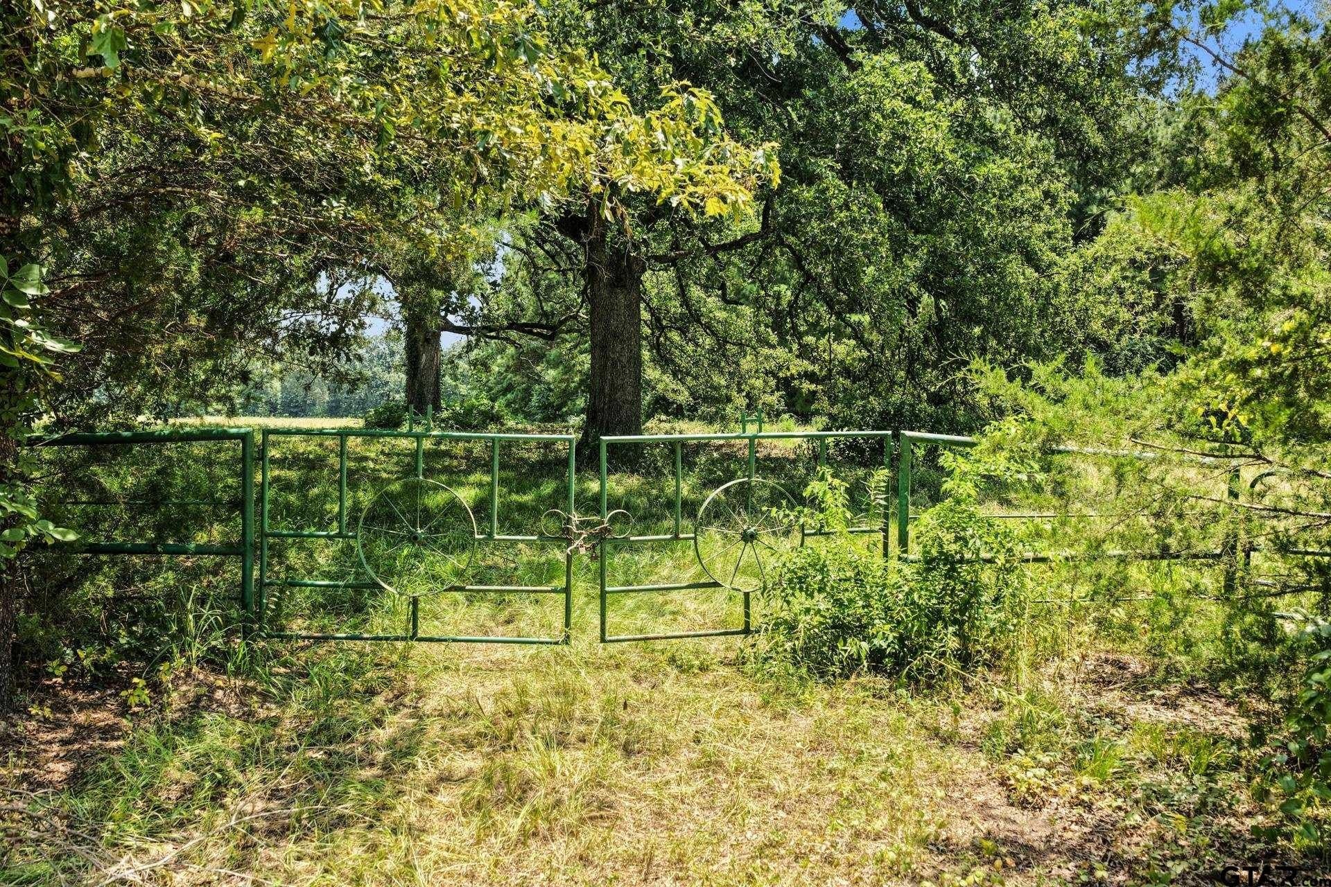 61 acres in Bowie County - photo 13