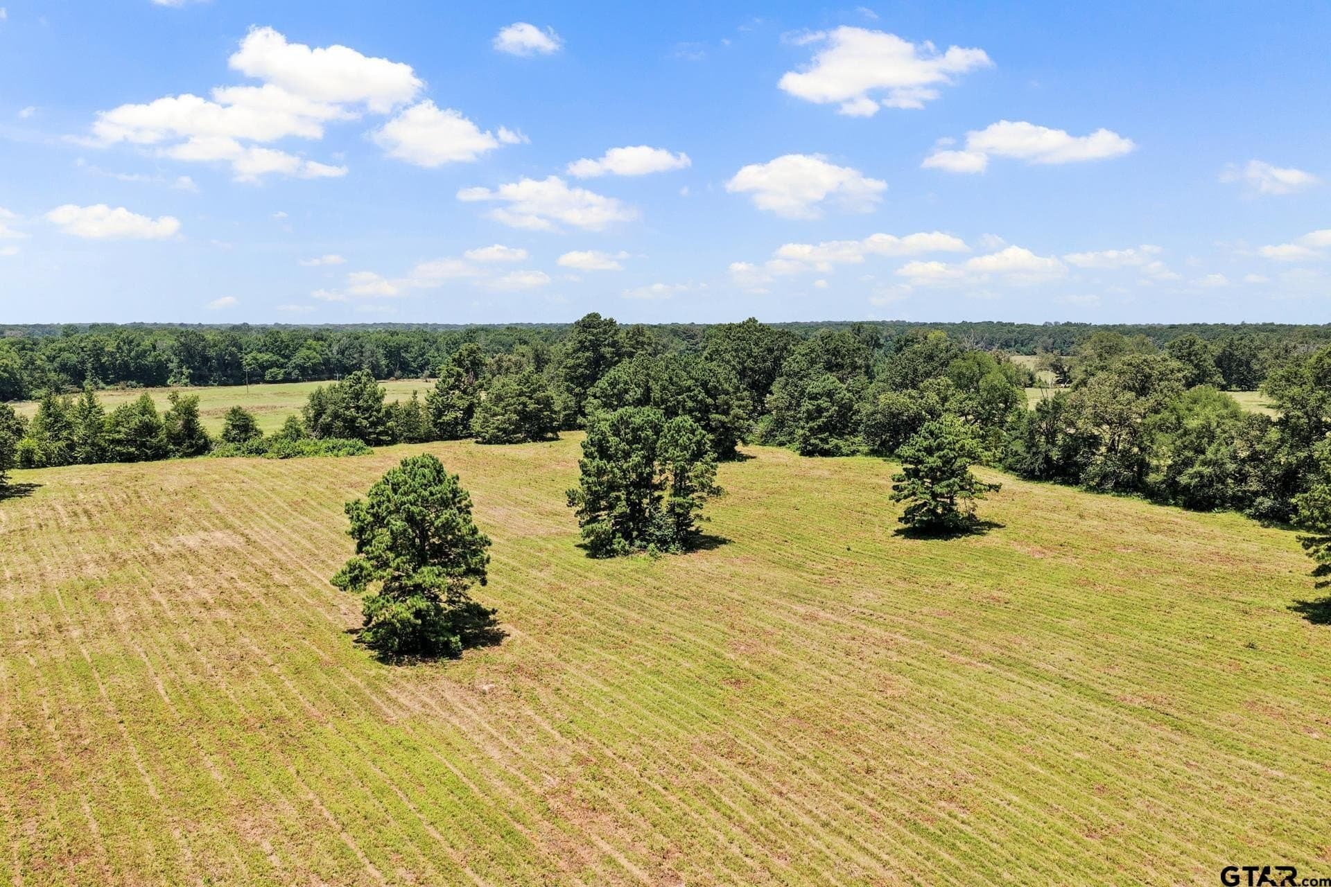 61 acres in Bowie County - photo 20