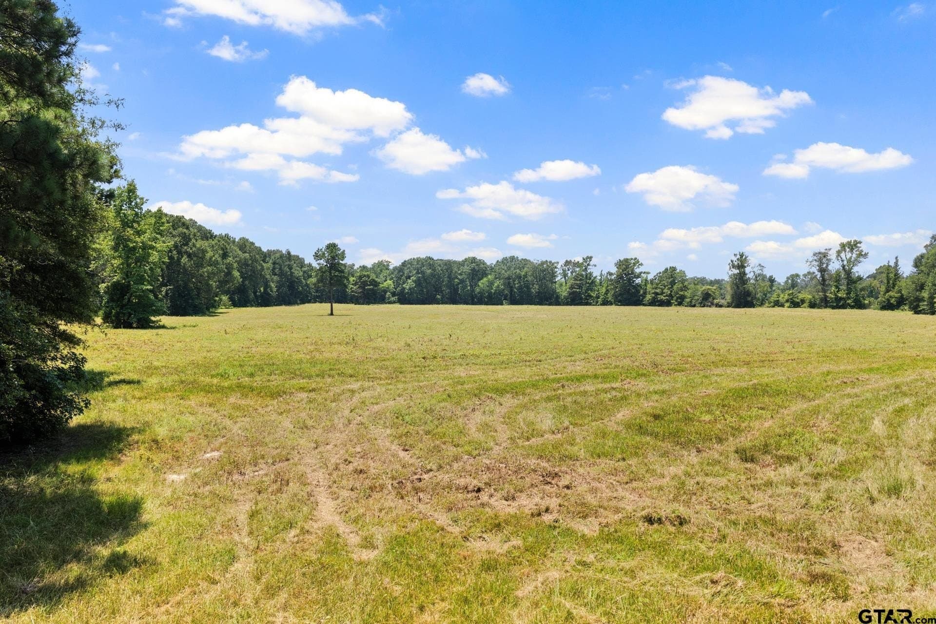 61 acres in Bowie County - photo 24