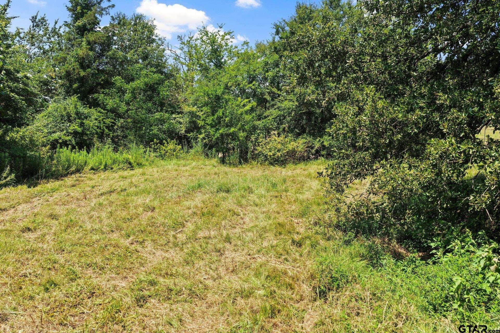 61 acres in Bowie County - photo 15