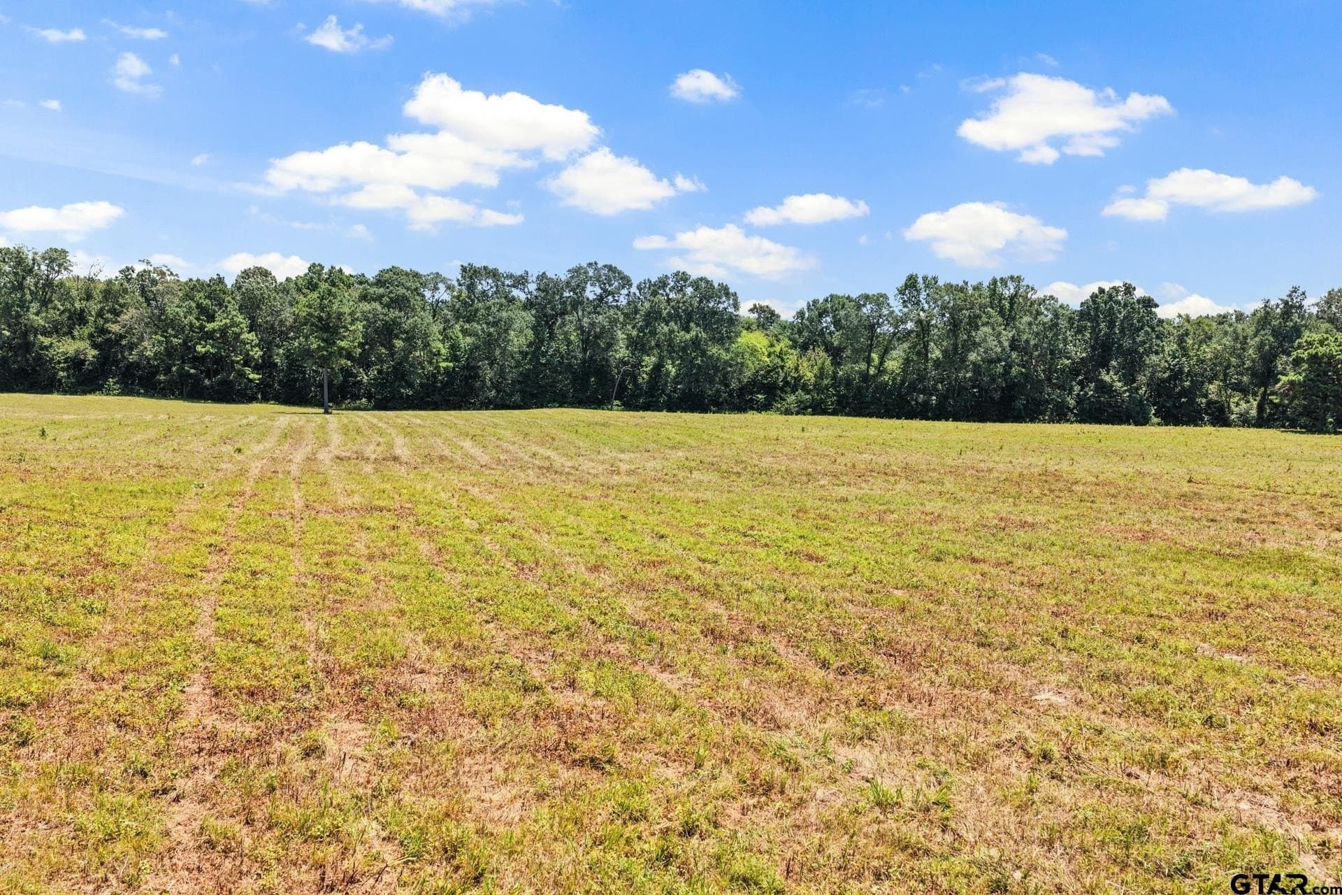 61 acres in Bowie County - photo 6