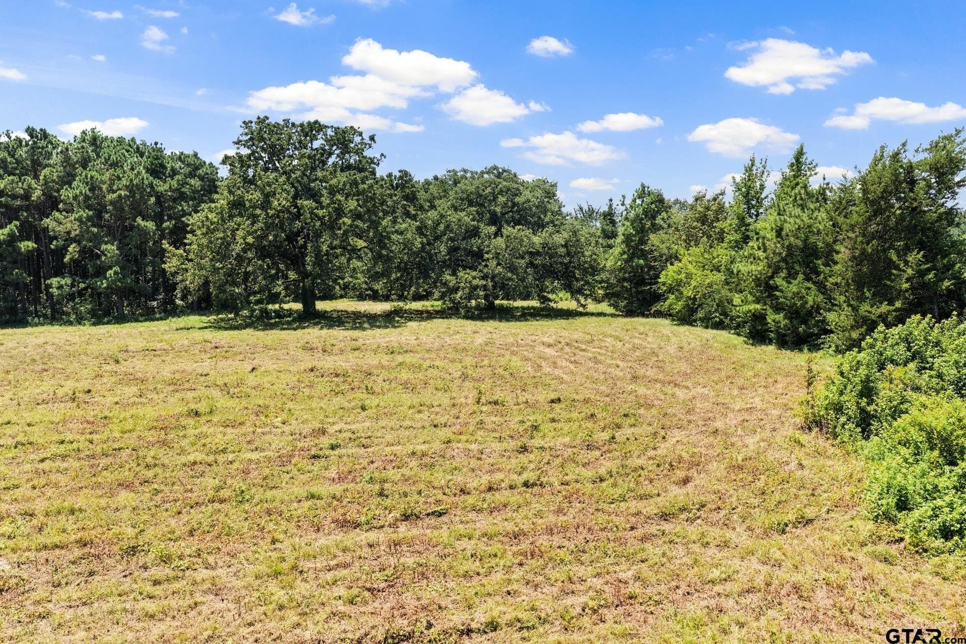 61 acres in Bowie County - photo 17