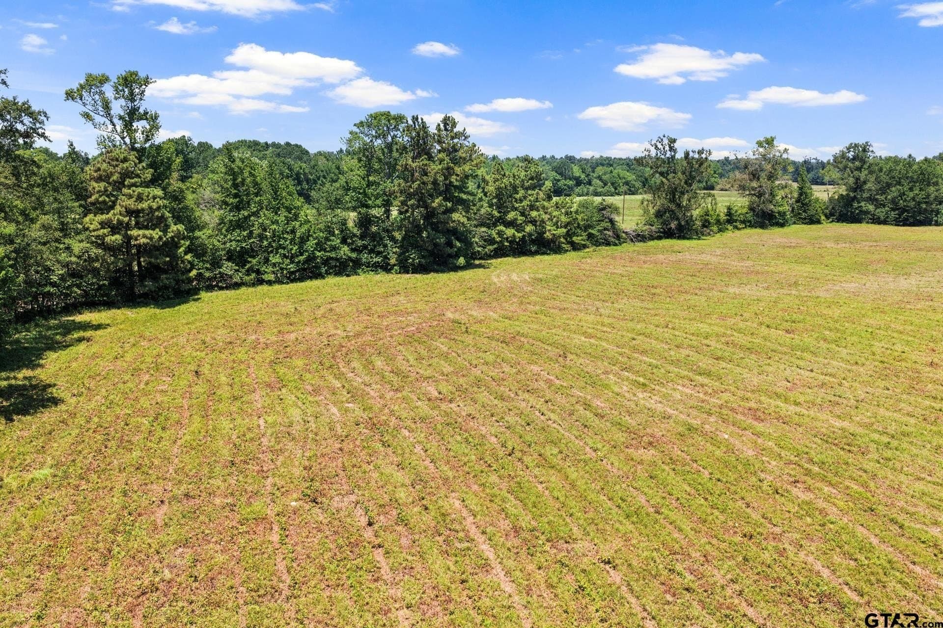 61 acres in Bowie County - photo 10