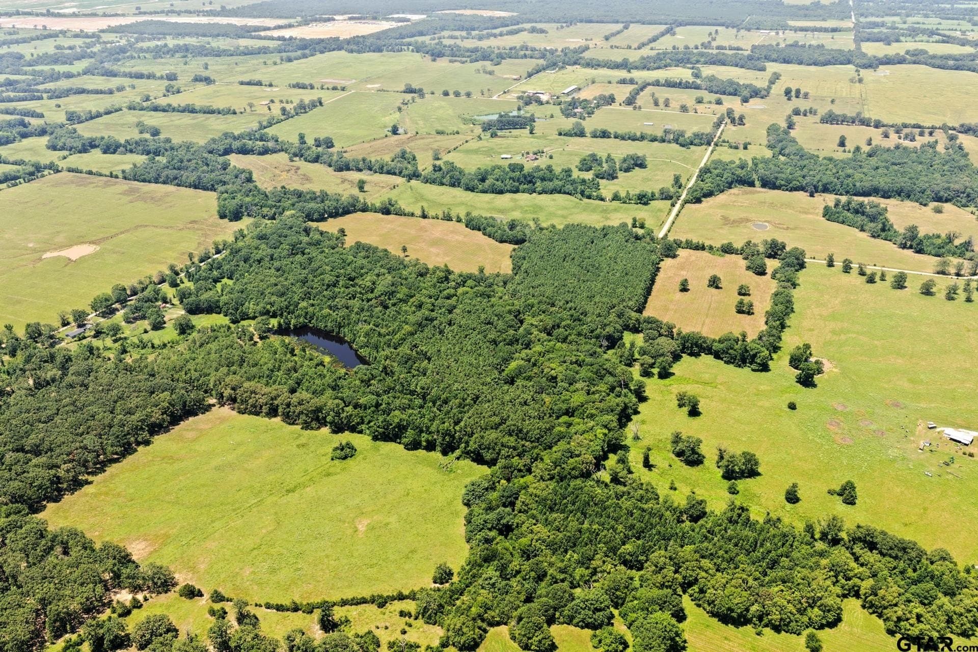61 acres in Bowie County - photo 28