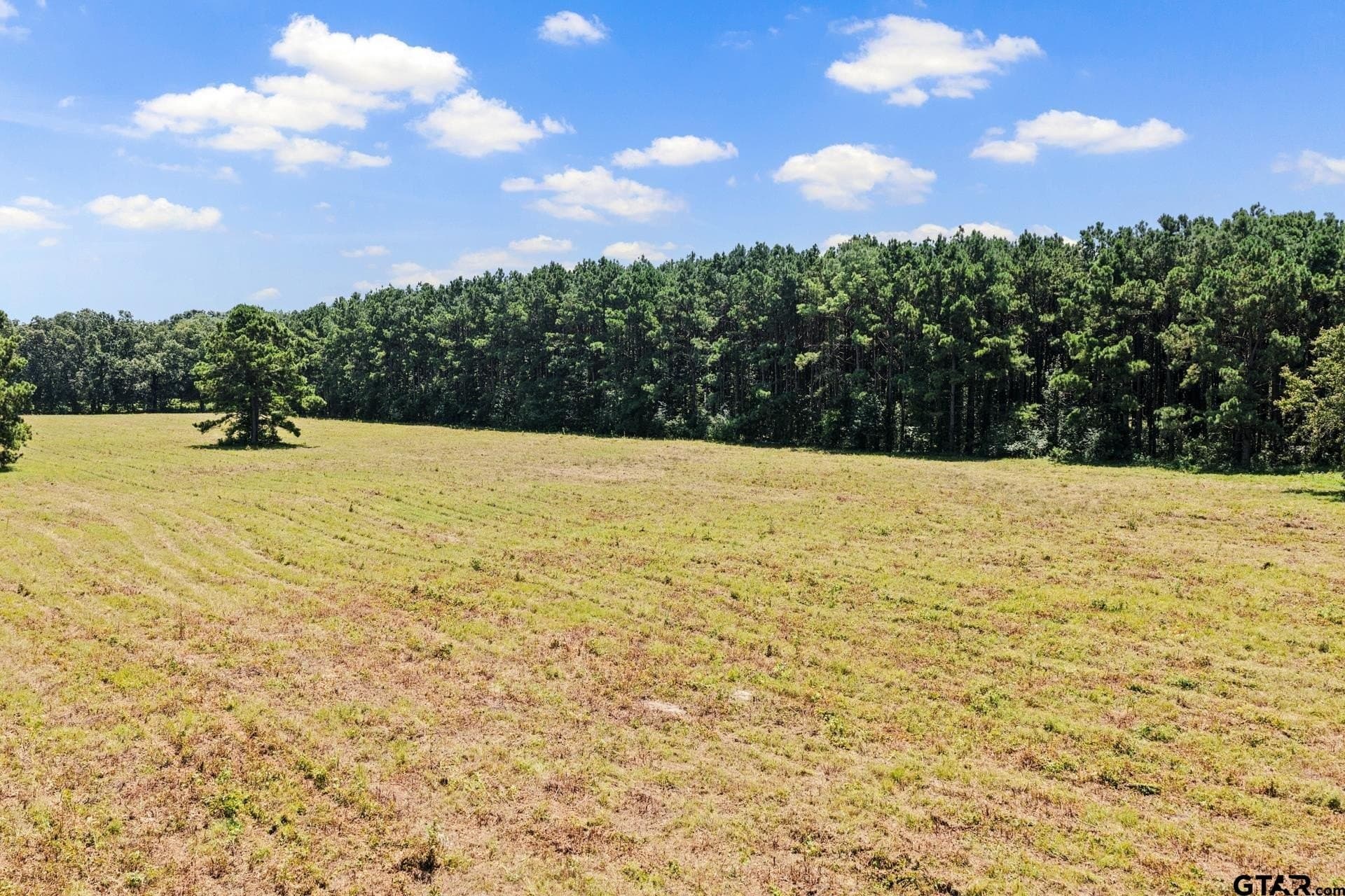 61 acres in Bowie County - photo 18