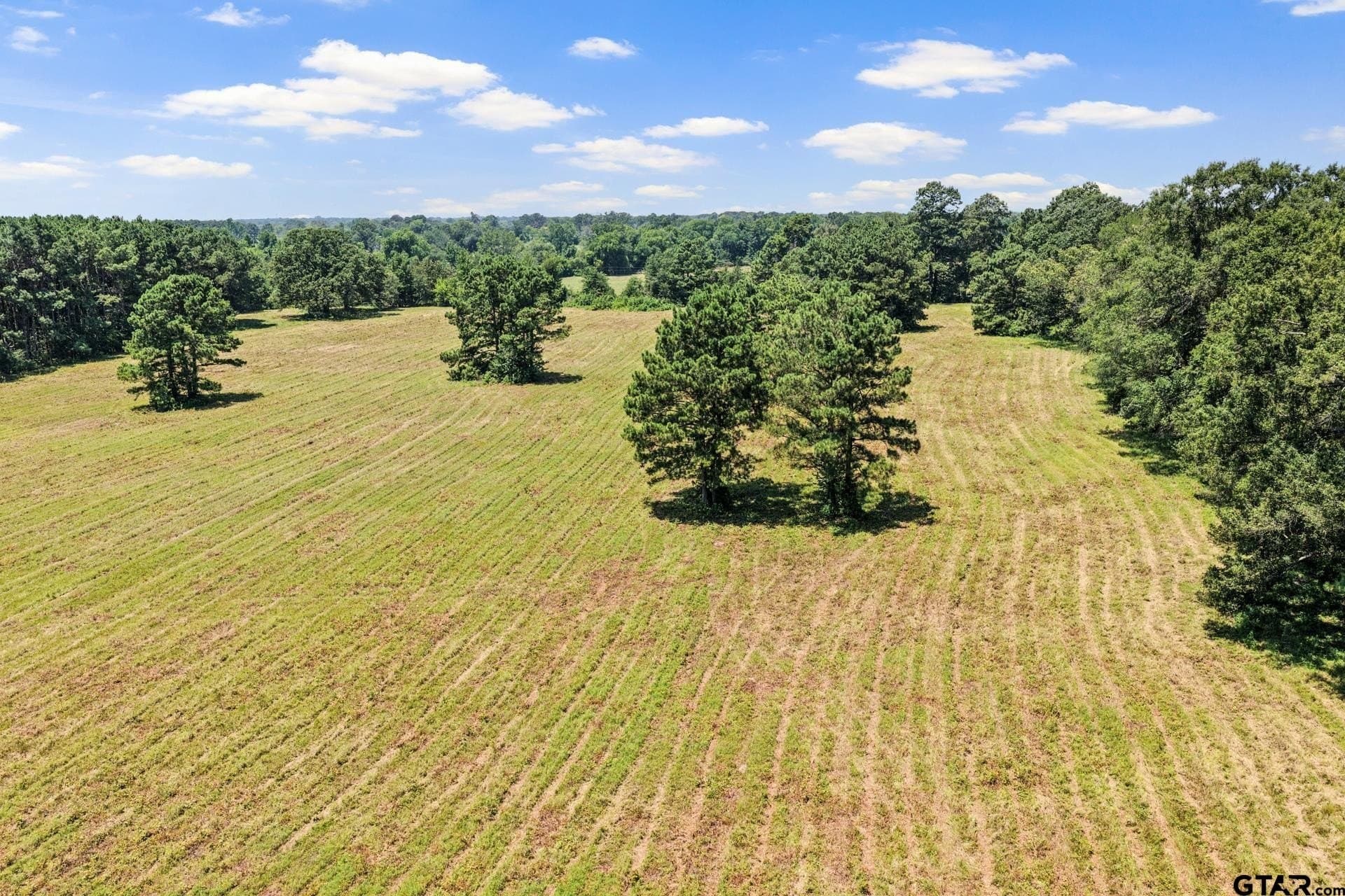 61 acres in Bowie County - photo 21