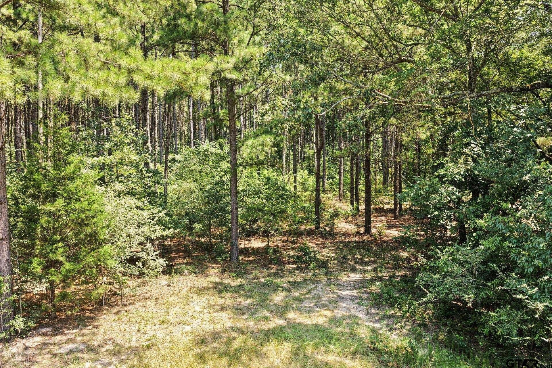 61 acres in Bowie County - photo 23