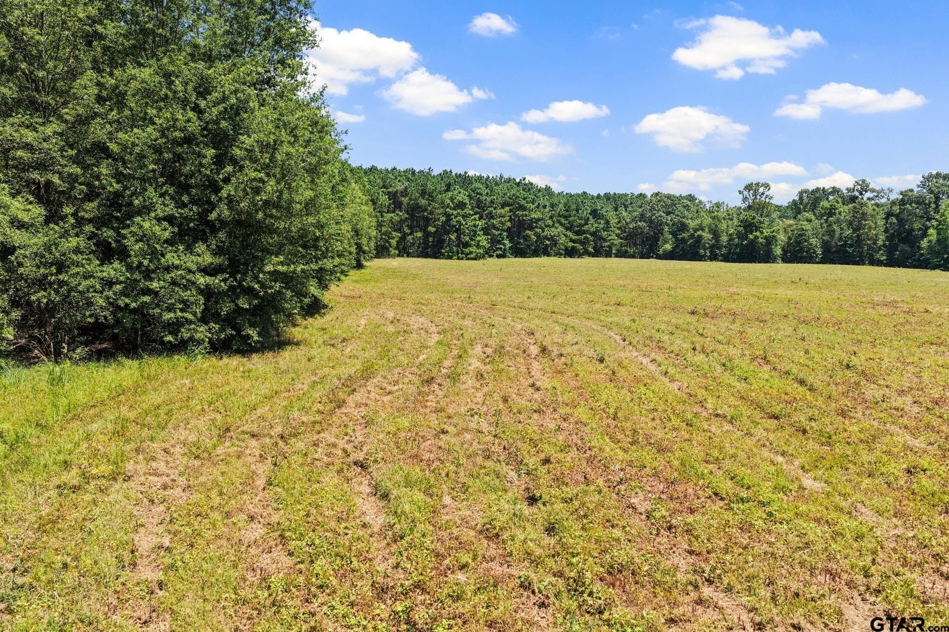 61 acres in Bowie County - photo 7