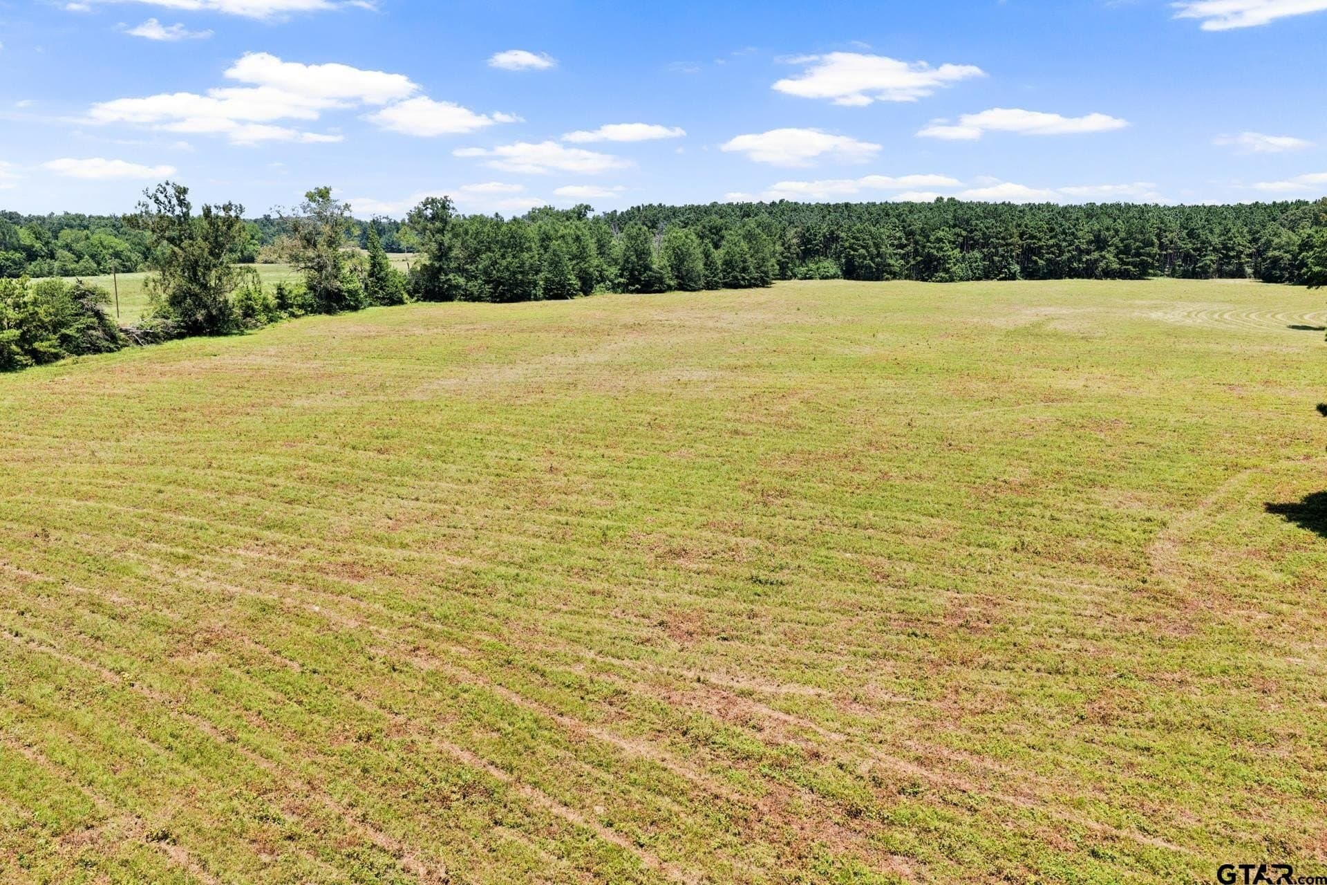 61 acres in Bowie County - photo 9
