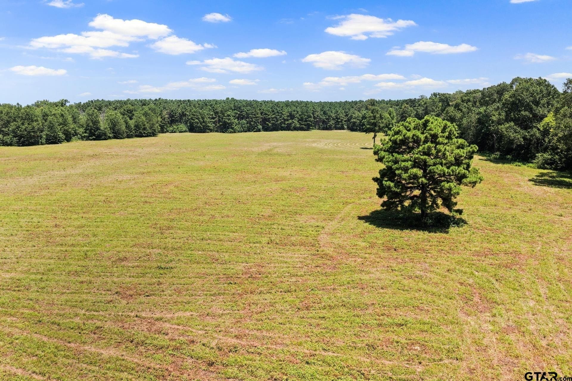 61 acres in Bowie County - photo 11