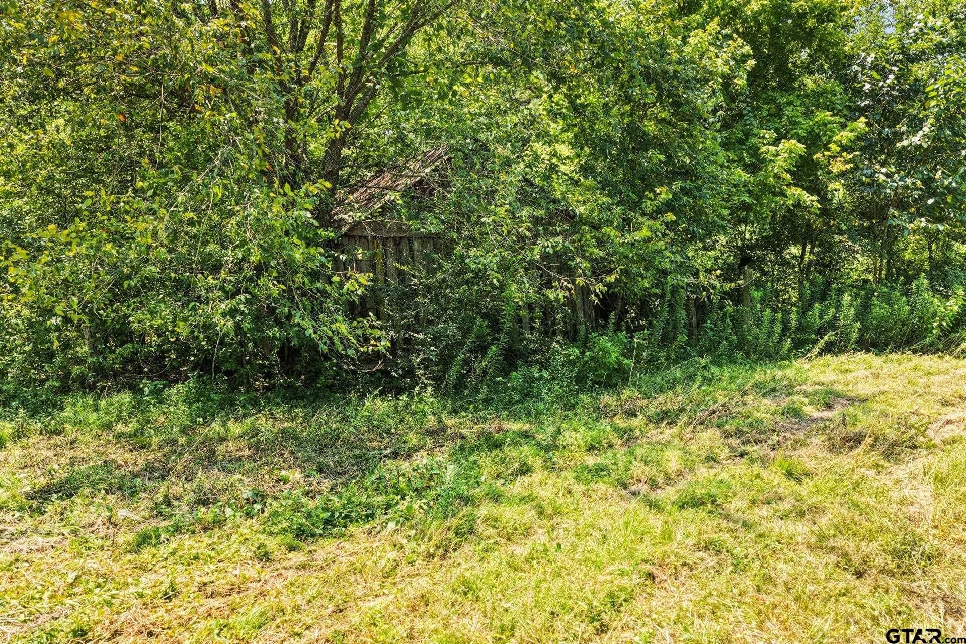 61 acres in Bowie County - photo 16