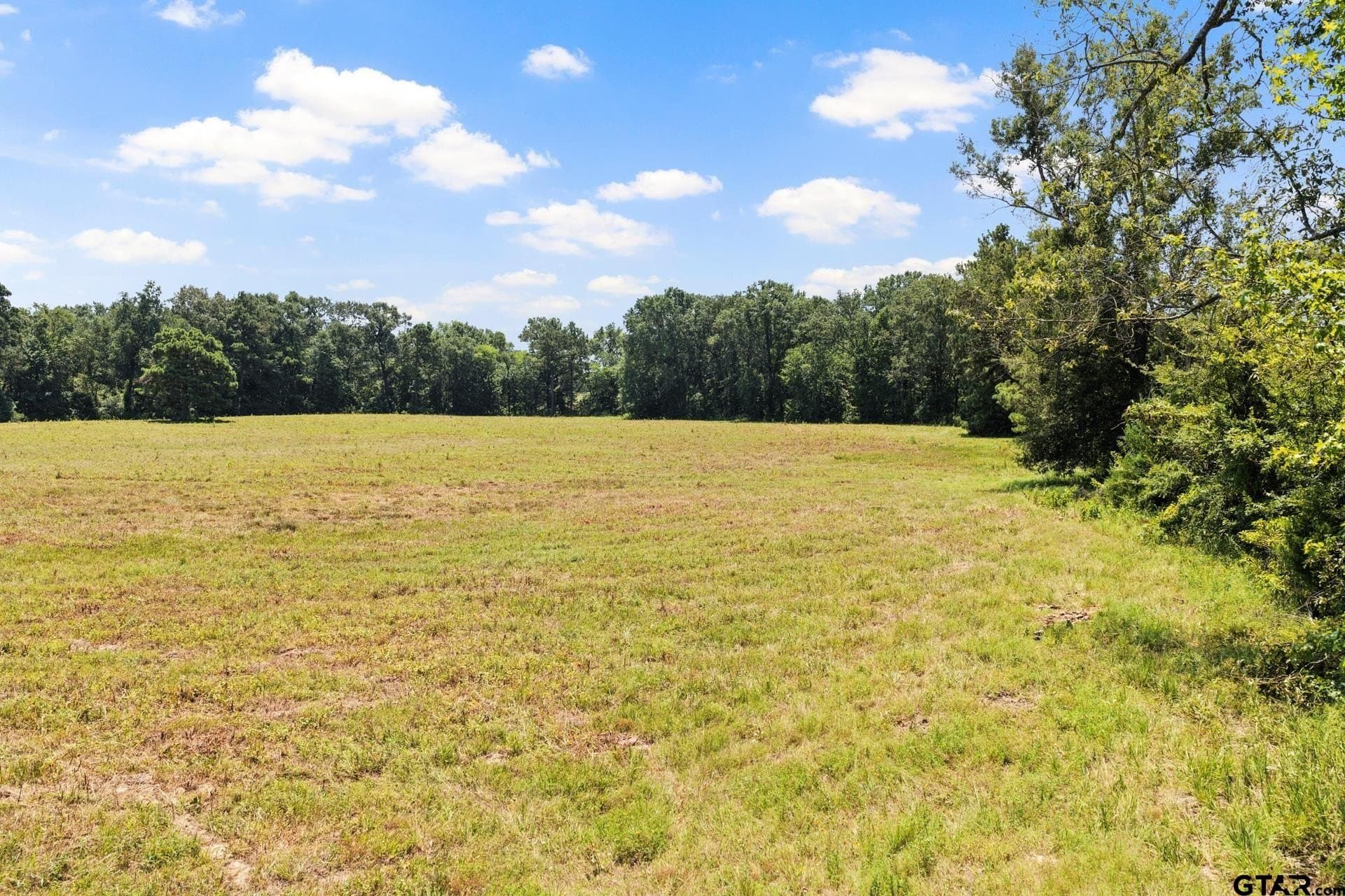 61 acres in Bowie County - photo 5