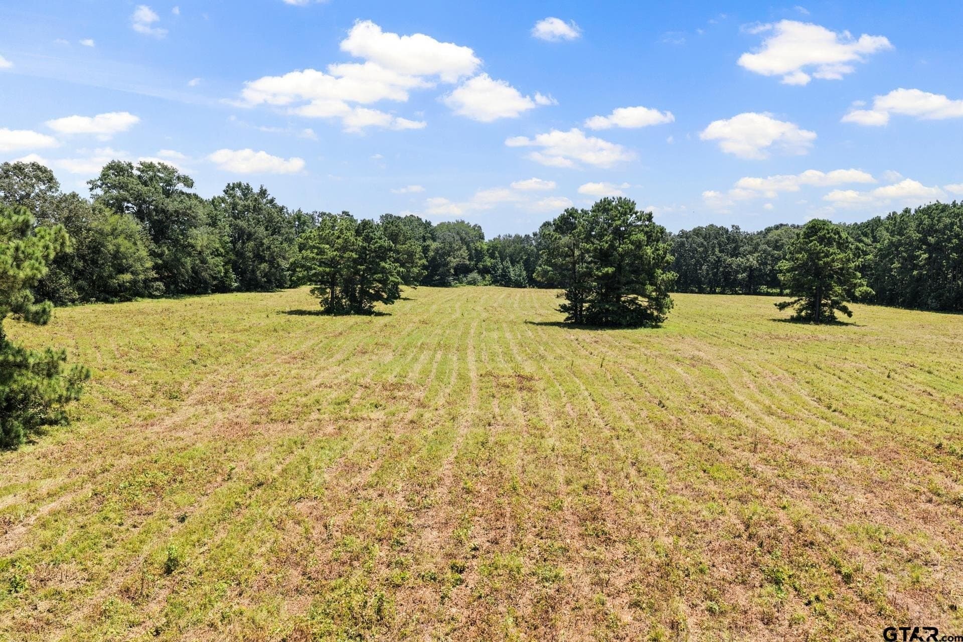 61 acres in Bowie County - photo 19